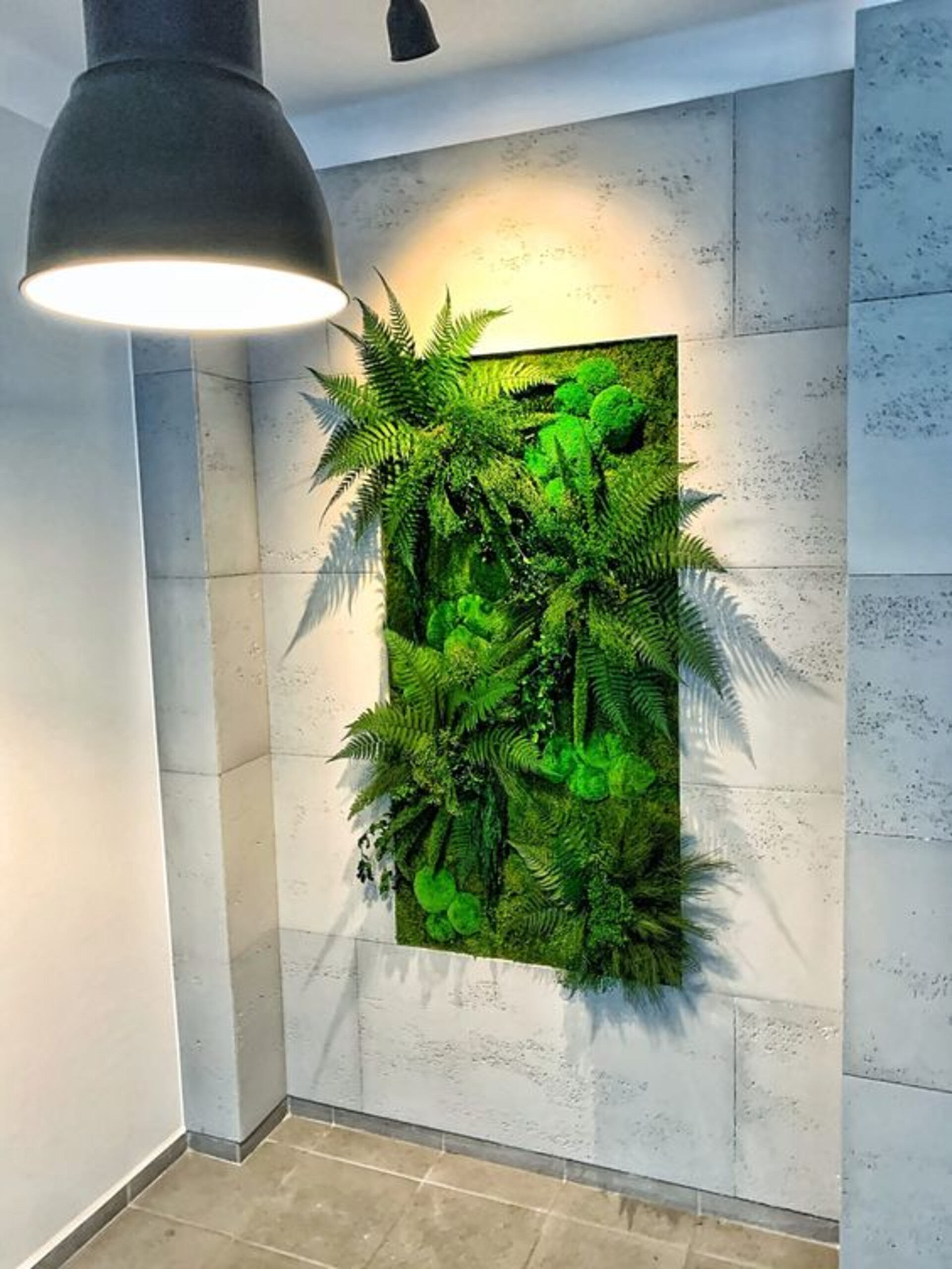 Giardini Vegetali Preservati - Sconti per Fioristi e Aziende - Adatto per Interno
