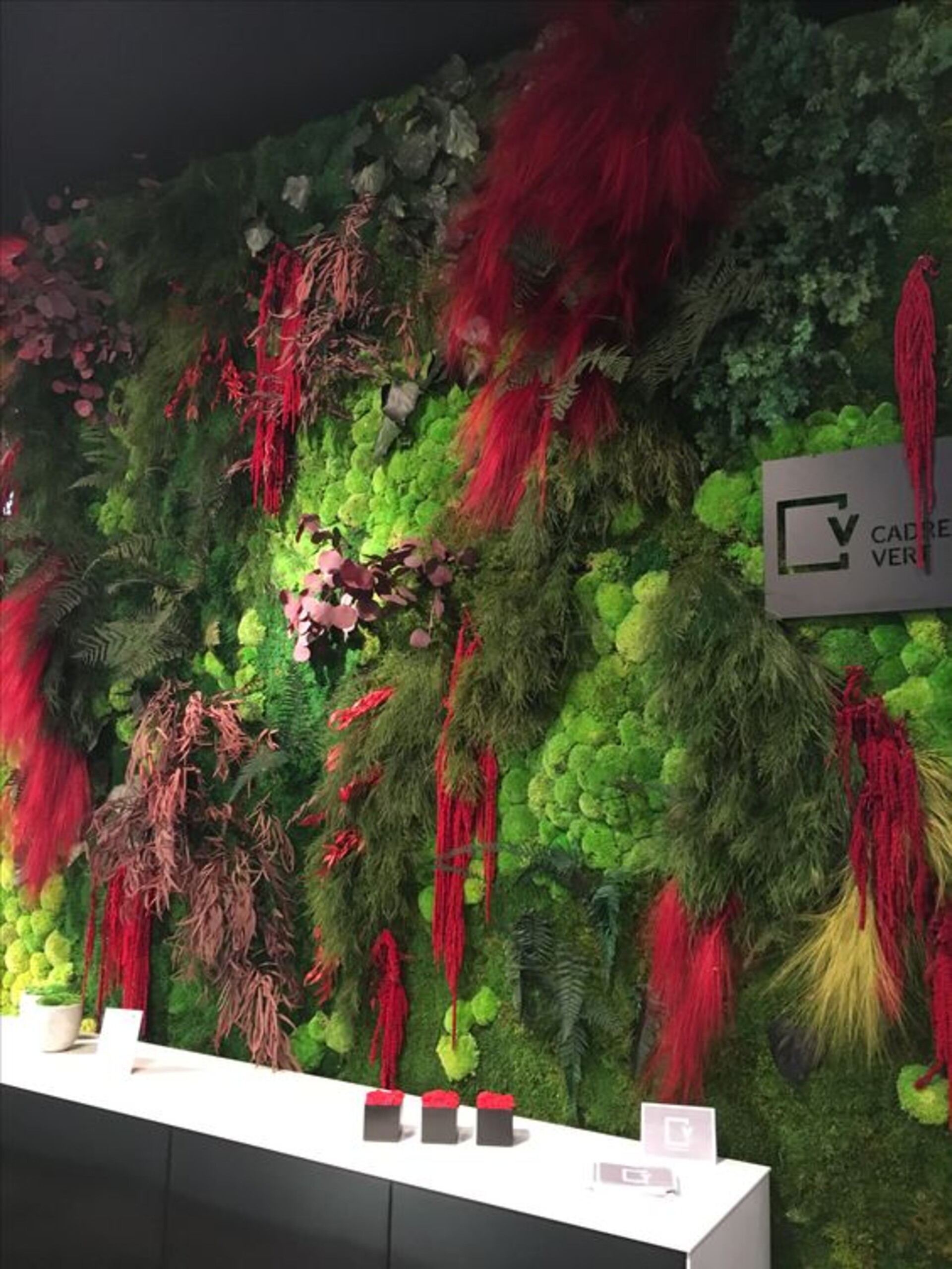 Giardini Vegetali Preservati - Sconti per Fioristi e Aziende - Adatto per Interno