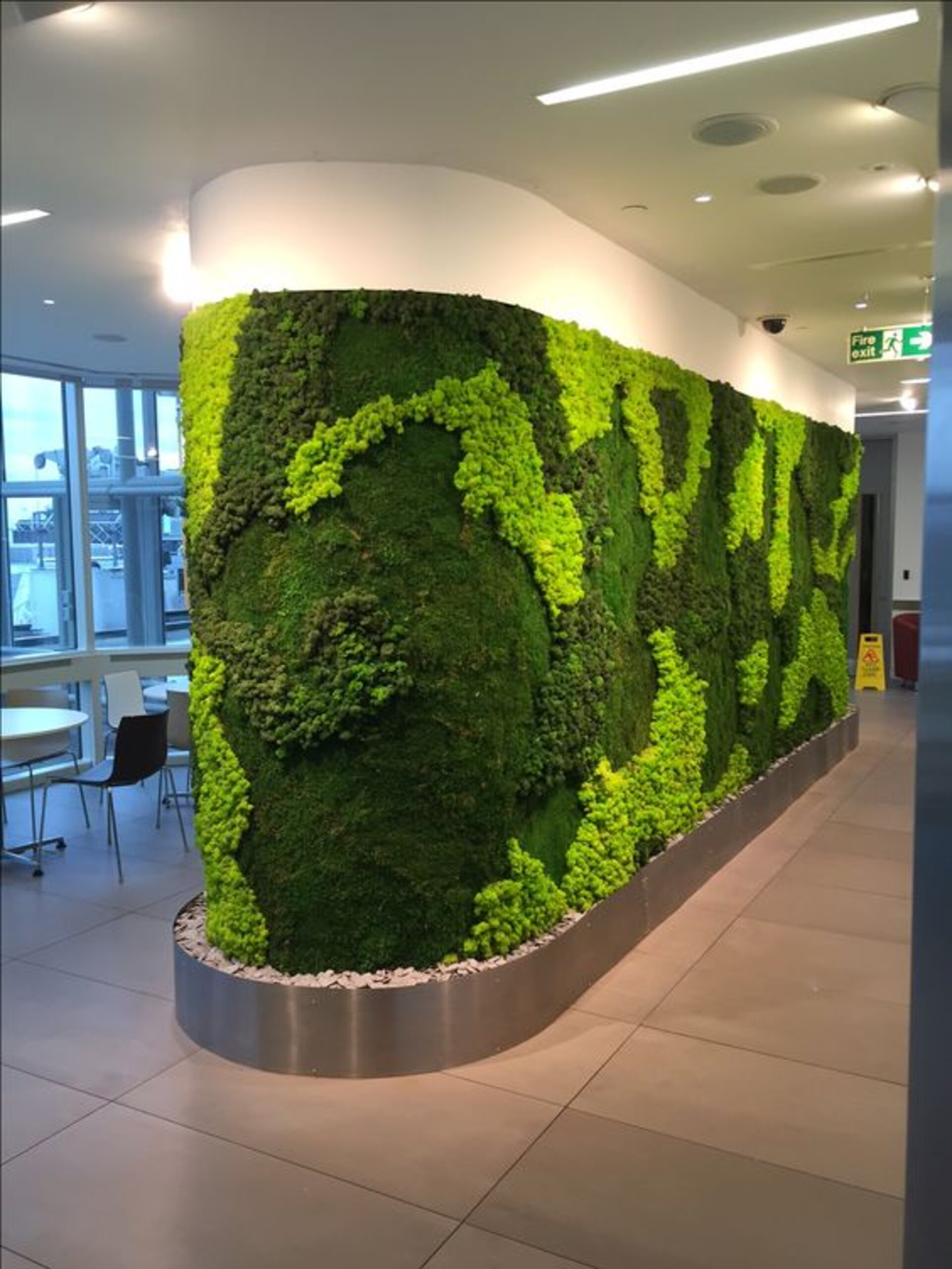 Parete Moss Stabilizzata  - Soluzione personabilizzabile - per eventi e interior designer