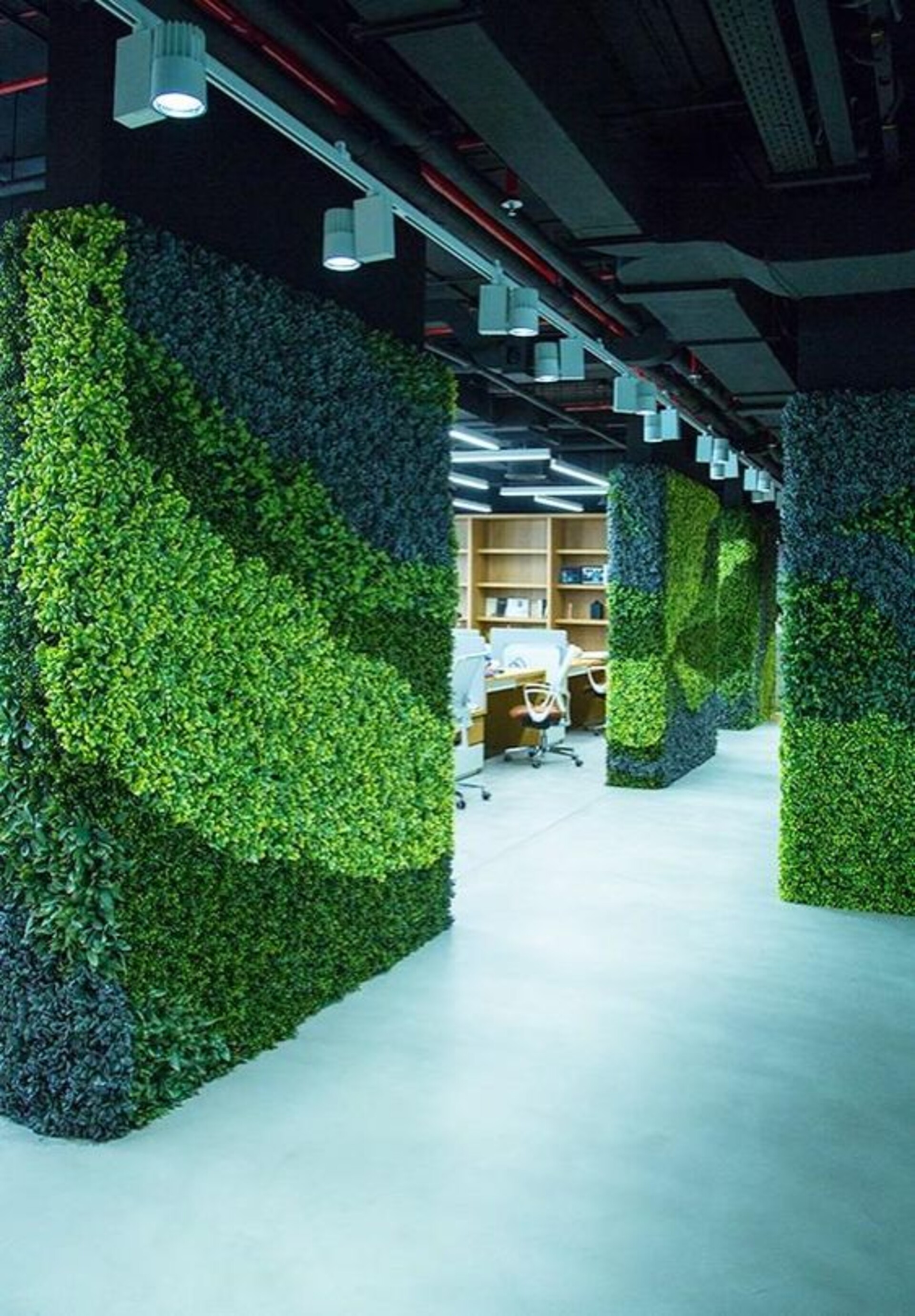 Parete Moss Stabilizzata  - Soluzione personabilizzabile - per eventi e interior designer