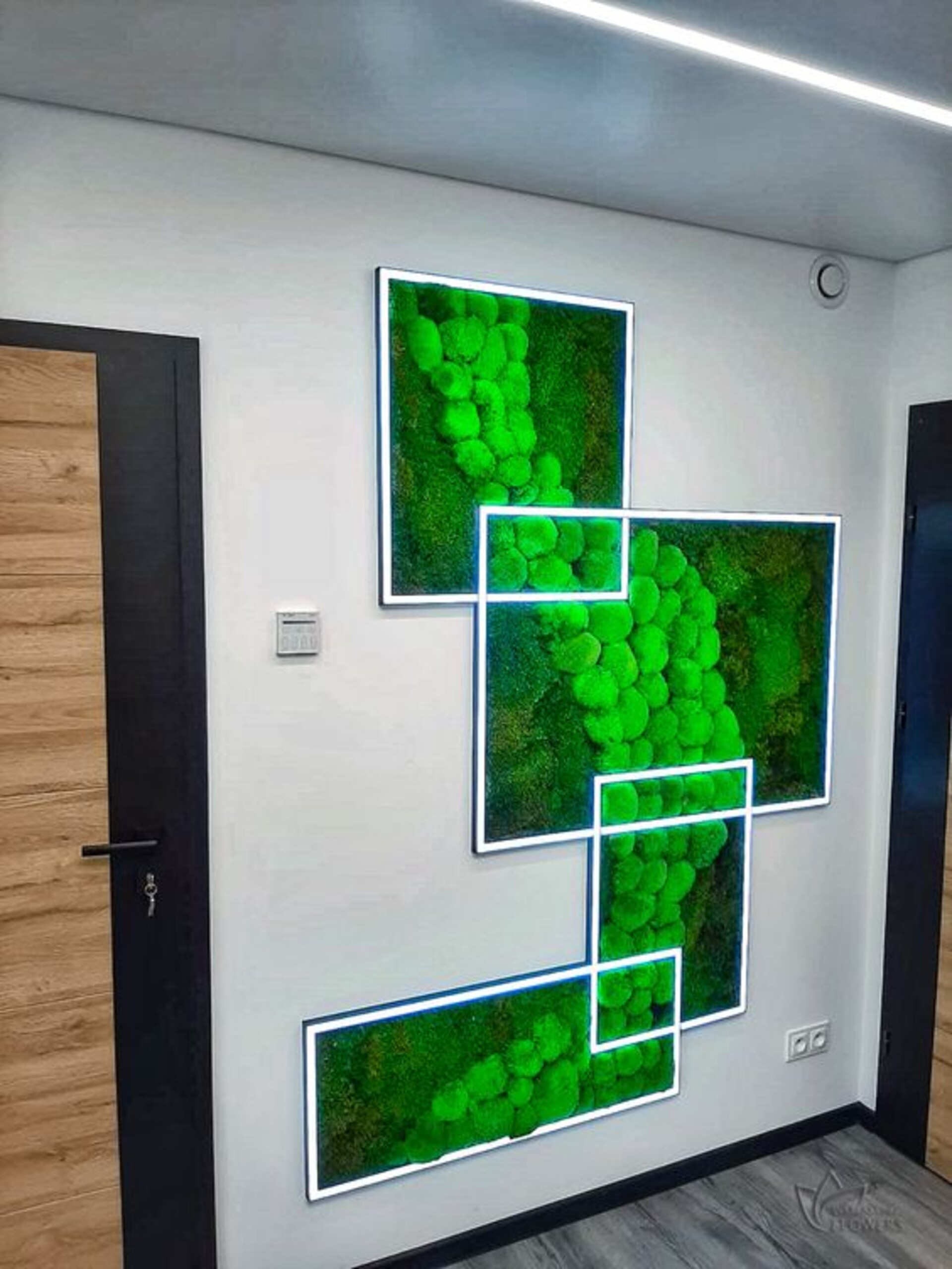 Parete Moss Stabilizzata  - Soluzione personabilizzabile - per eventi e interior designer