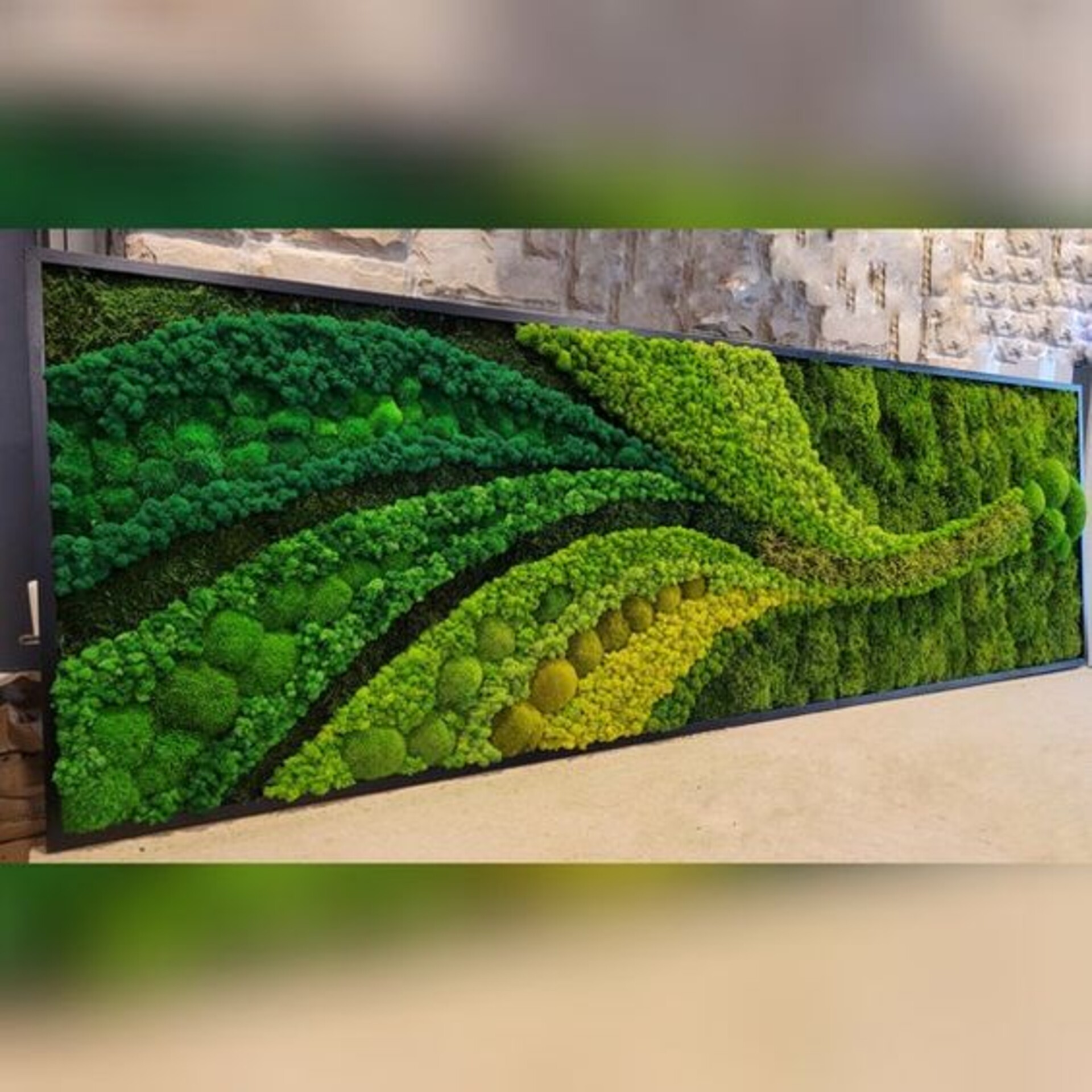 Parete Moss Stabilizzata  - Soluzione personabilizzabile - per eventi e interior designer