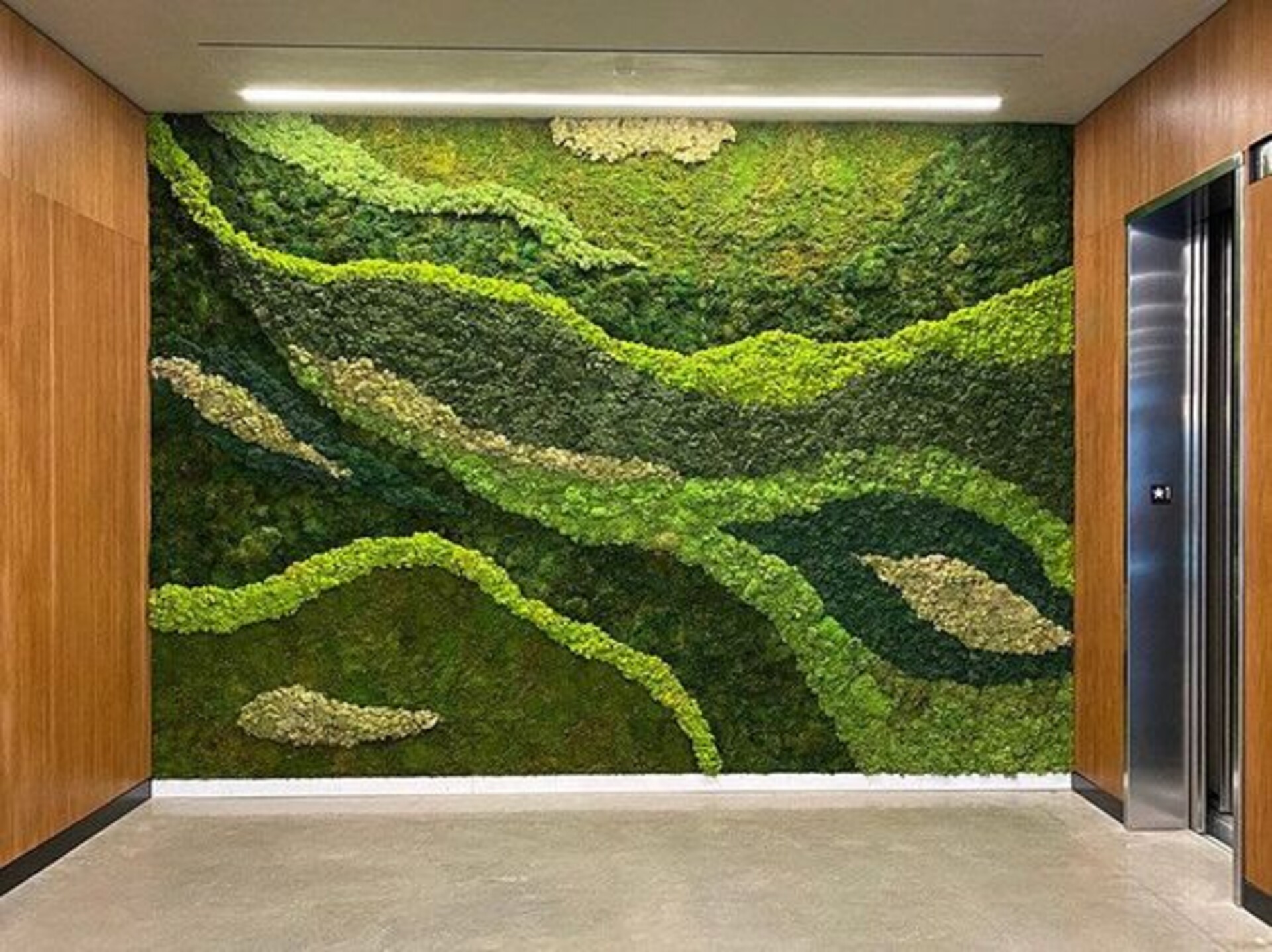Parete Moss Stabilizzata  - Soluzione personabilizzabile - per eventi e interior designer