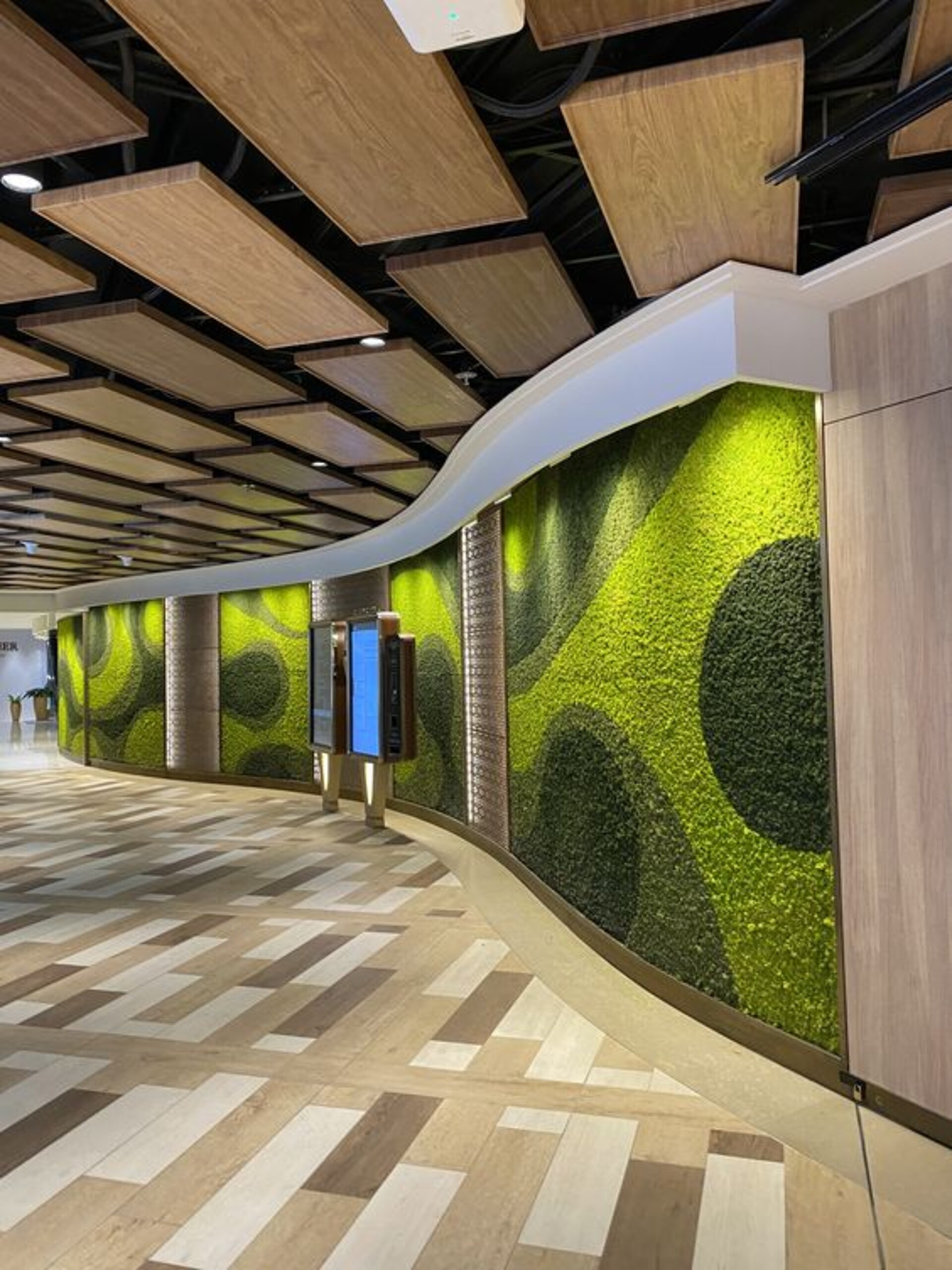 Parete Moss Stabilizzata  - Soluzione personabilizzabile - per eventi e interior designer