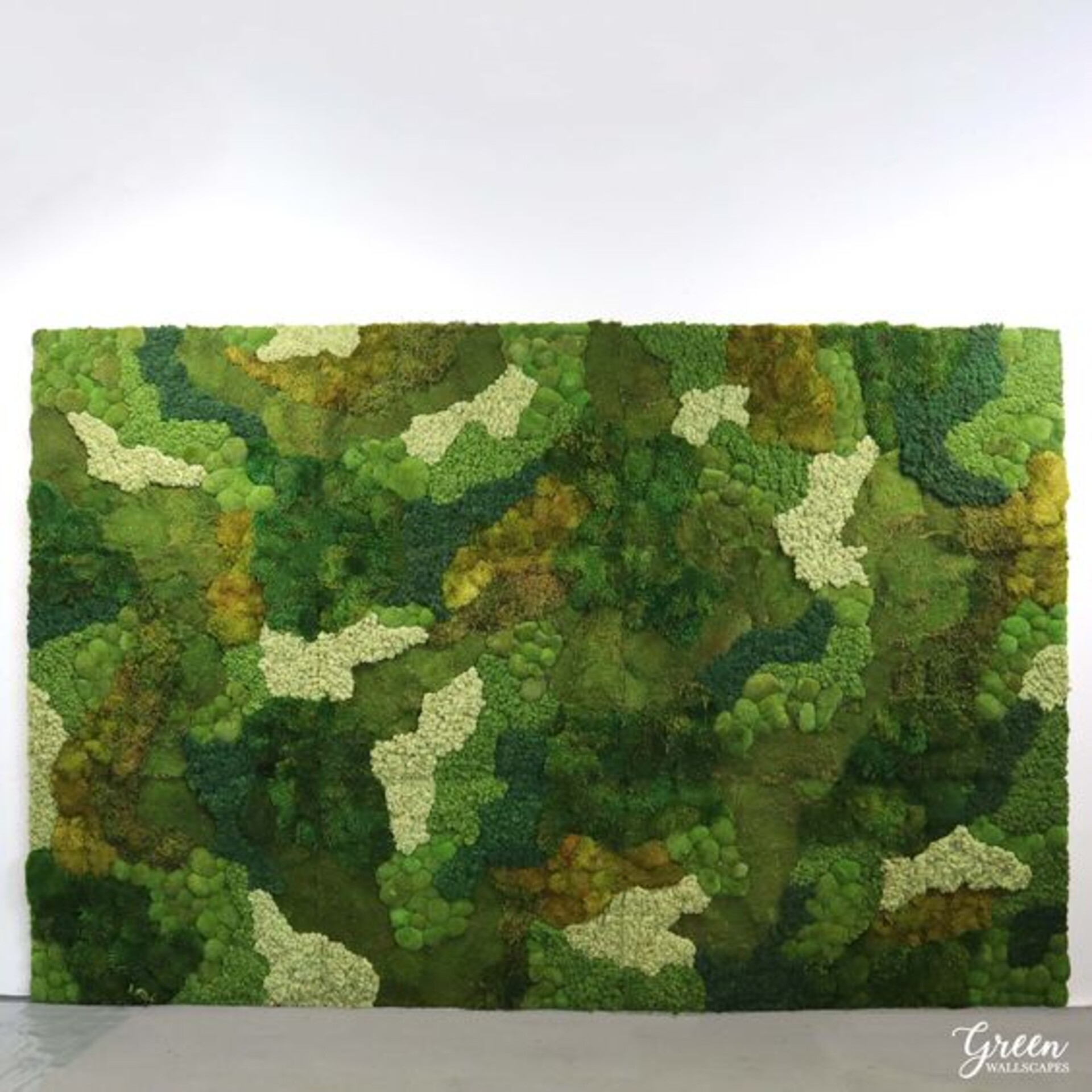 Parete Moss Stabilizzata  - Soluzione personabilizzabile - per eventi e interior designer
