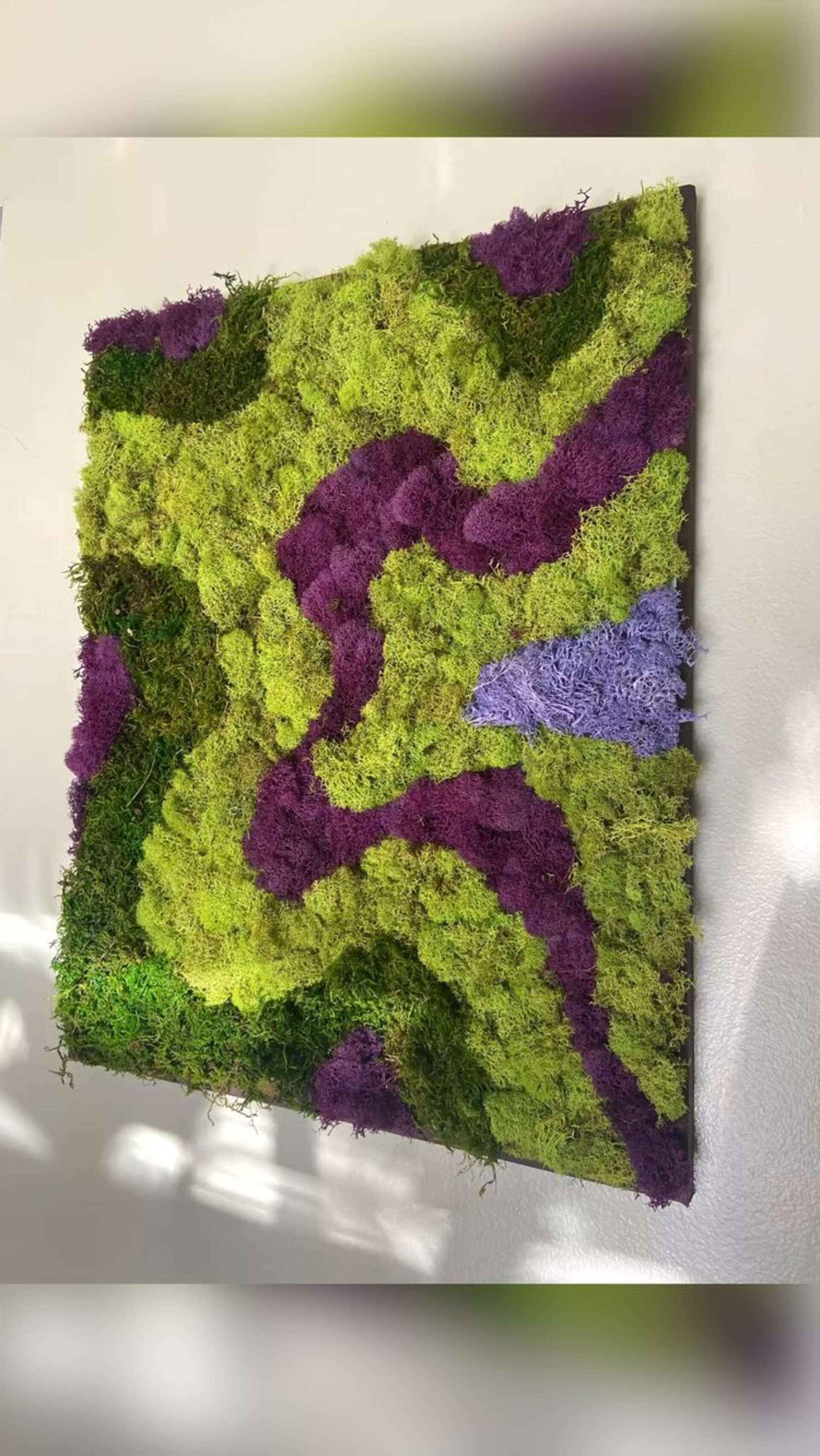 Parete Moss Stabilizzata  - Soluzione personabilizzabile - per eventi e interior designer