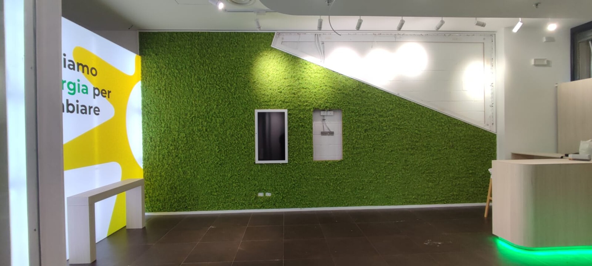 Parete Moss Stabilizzata  - Soluzione personabilizzabile - per eventi e interior designer