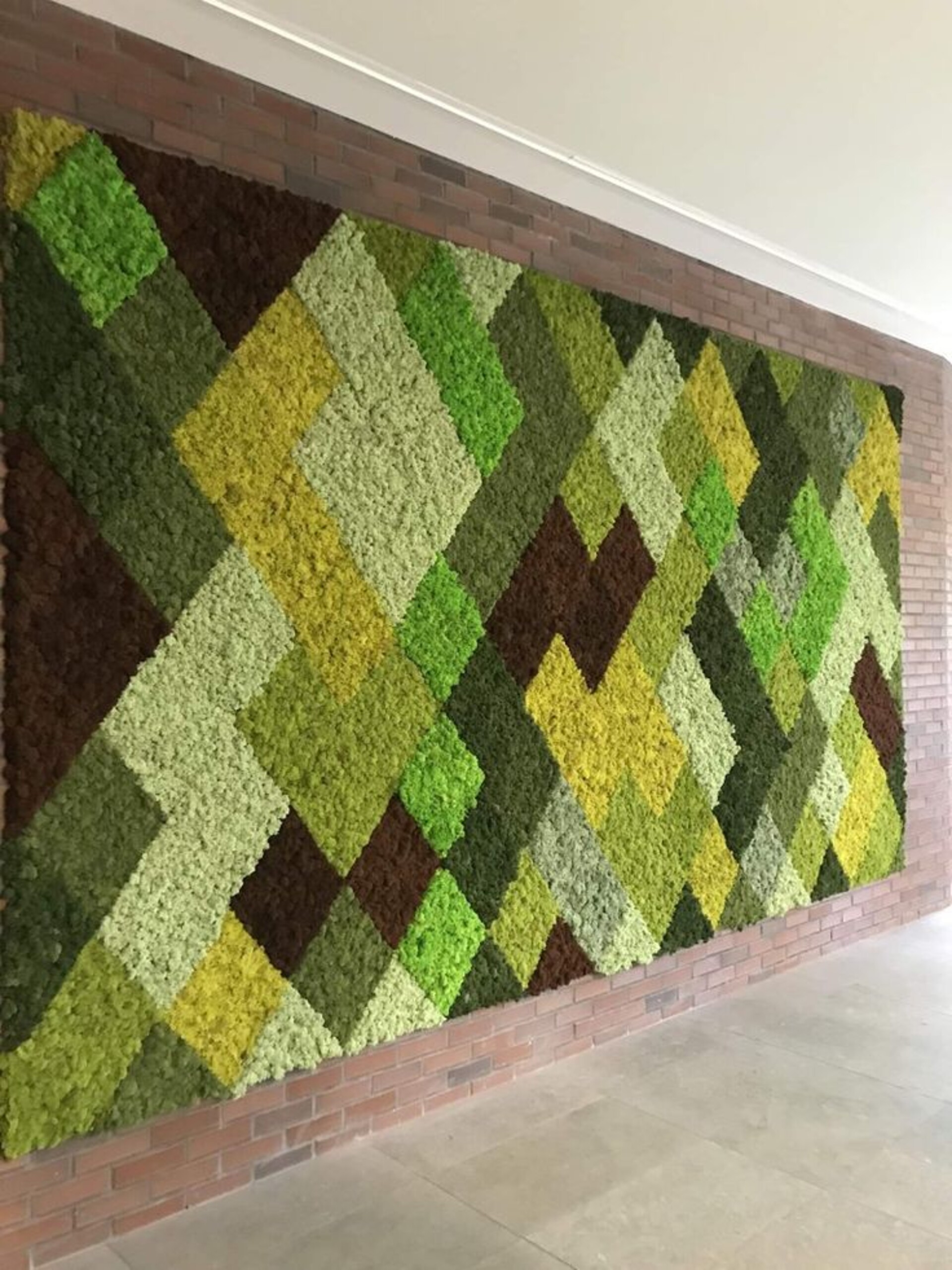 Parete Moss Stabilizzata  - Soluzione personabilizzabile - per eventi e interior designer