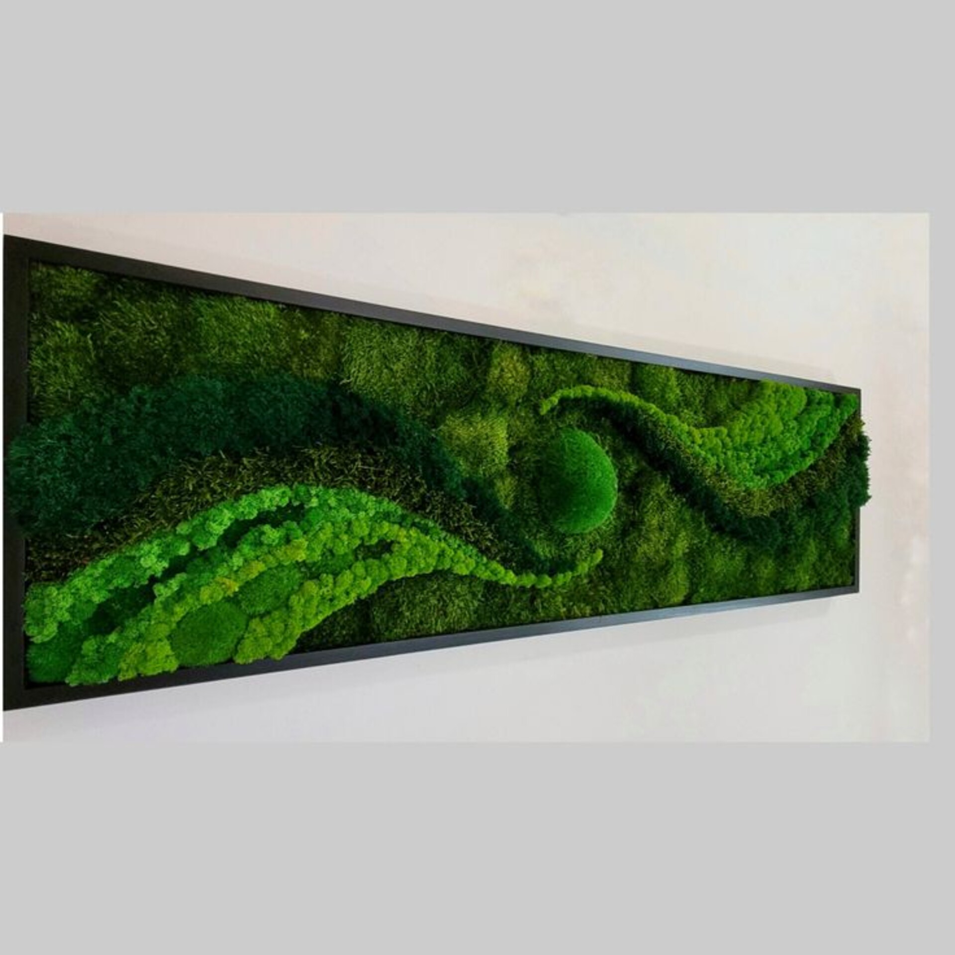 Parete Moss Stabilizzata  - Soluzione personabilizzabile - per eventi e interior designer