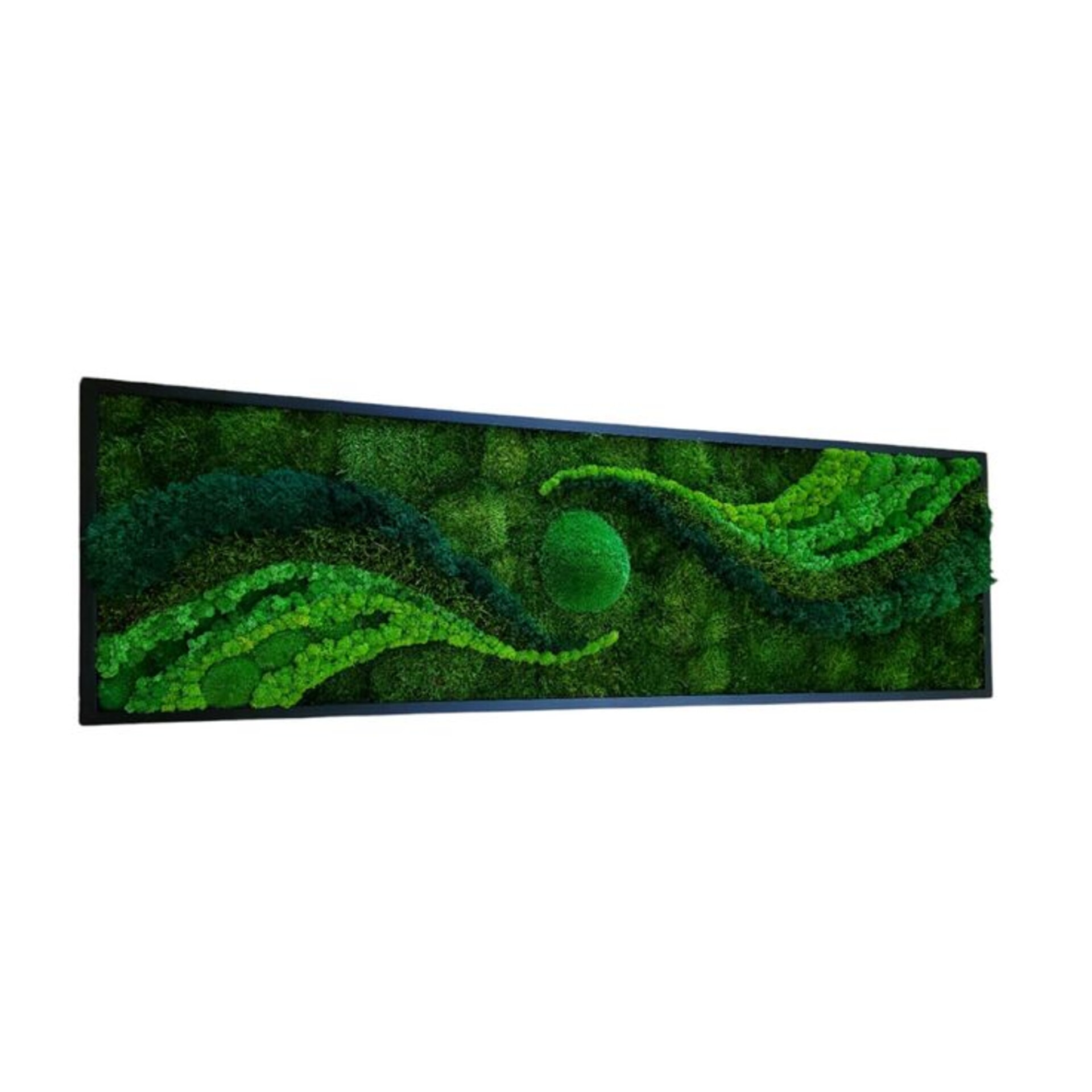 Parete Moss Stabilizzata  - Soluzione personabilizzabile - per eventi e interior designer