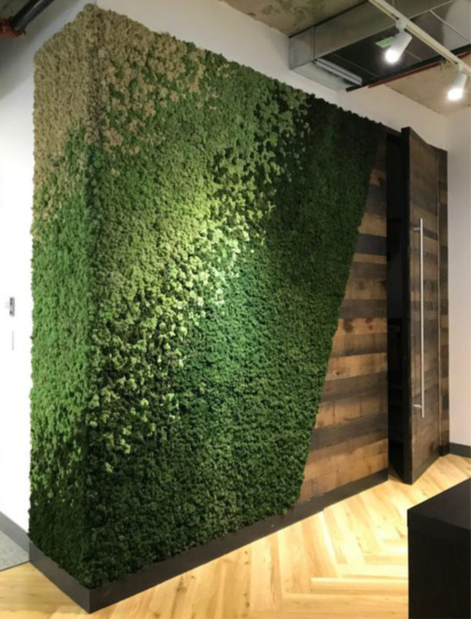 Parete Moss Stabilizzata  - Soluzione personabilizzabile - per eventi e interior designer