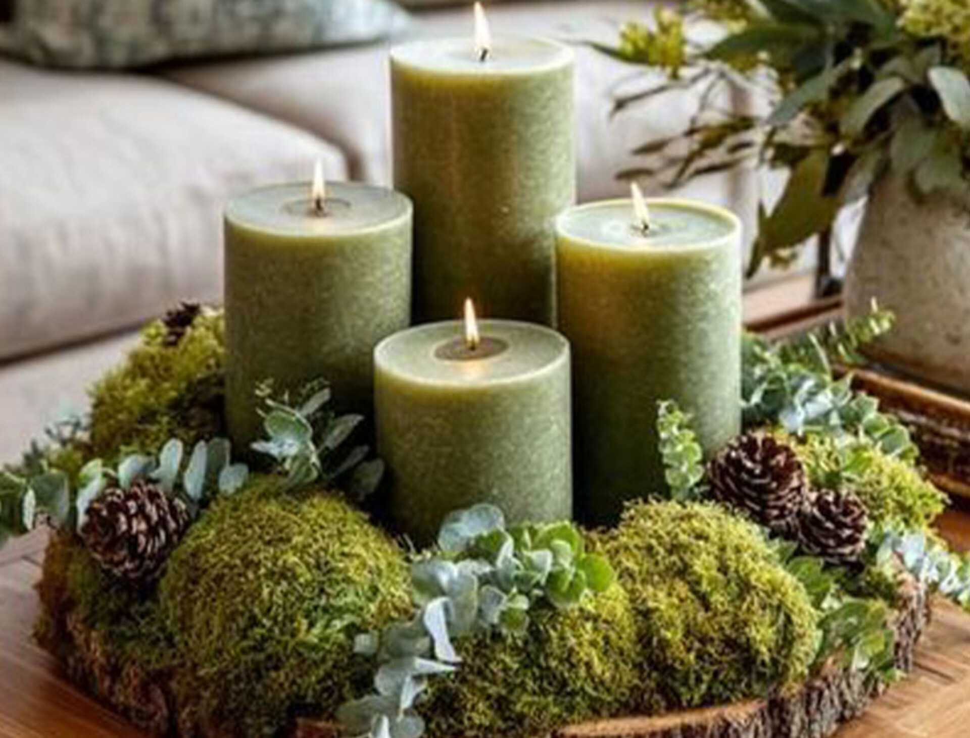 Muschio Ball Moss /Pole Moss Preservato - Sconti per Fioristi e Aziende - Leucobrium Glaucum