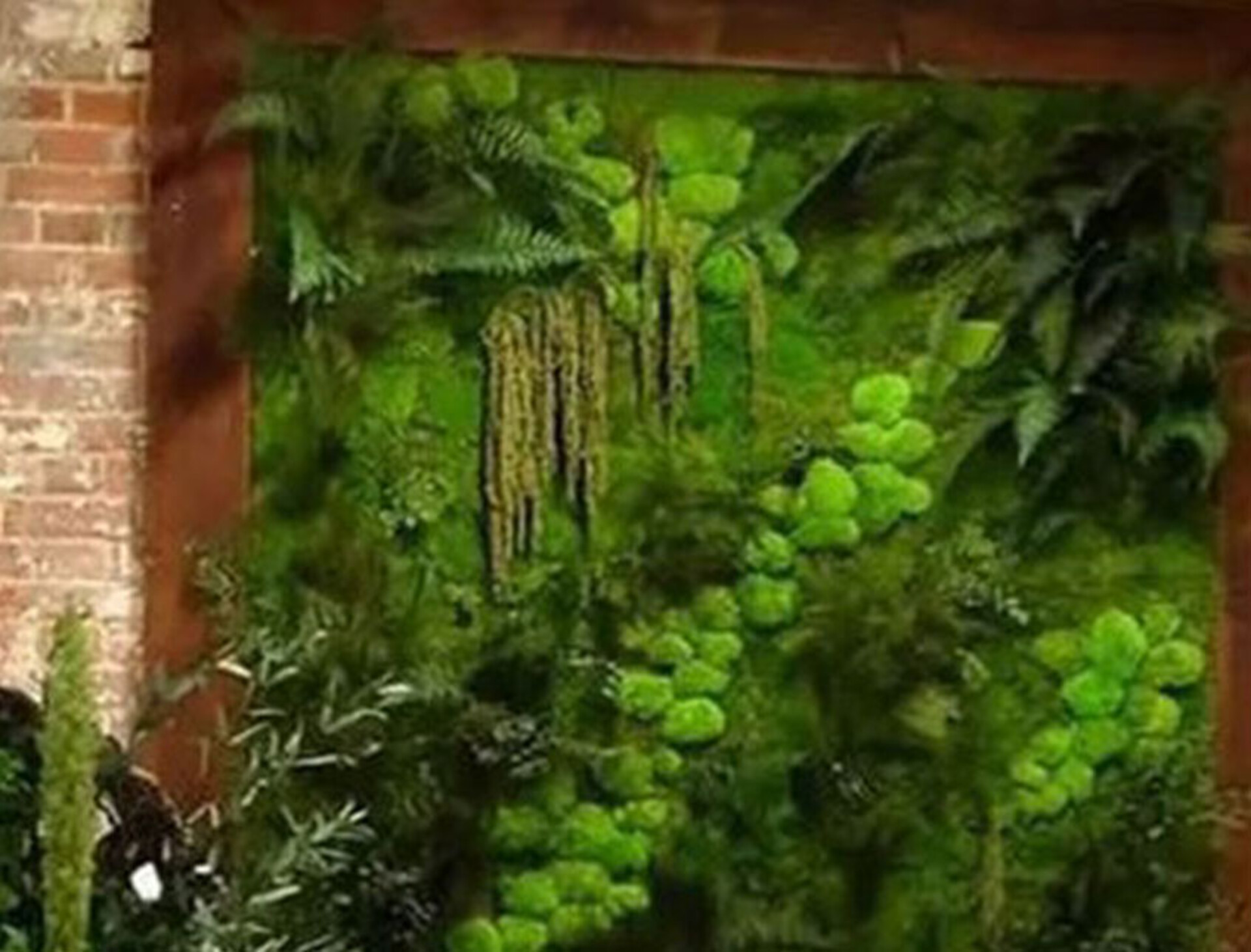 Giardini Vegetali Preservati - Adatti soltanto per interni . - Stile Ball Moss