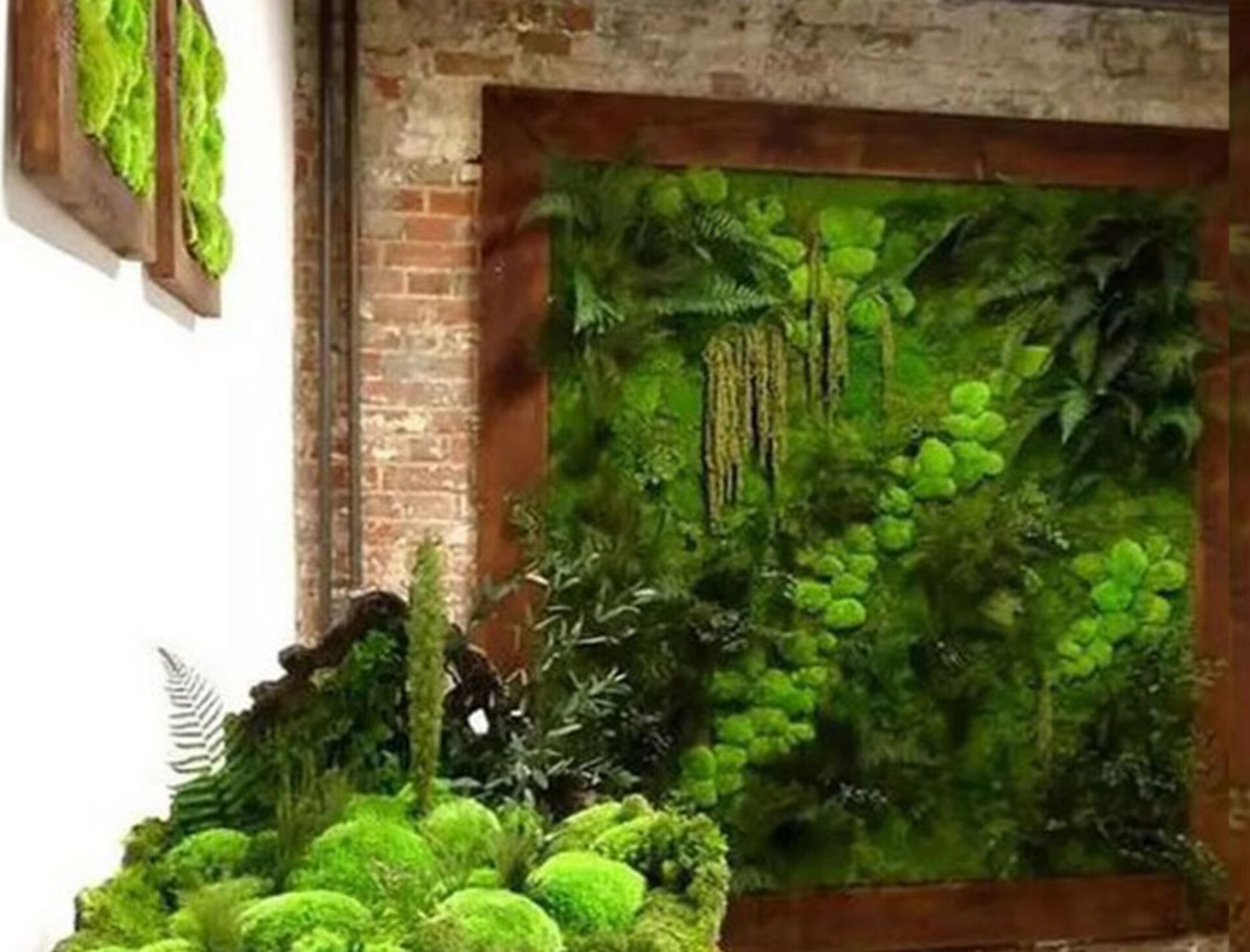 Giardini Vegetali Preservati - Adatti soltanto per interni . - Stile Ball Moss