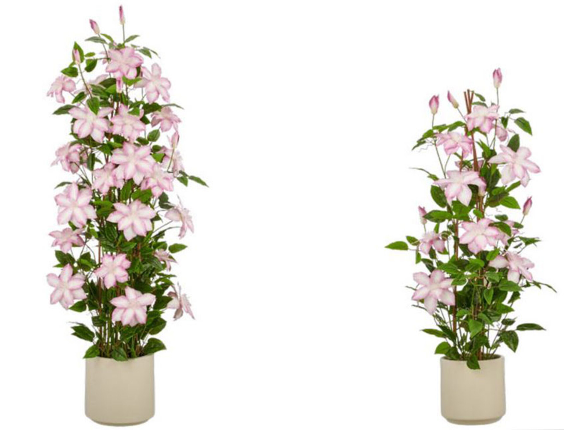 Clematis Fiorita x 3 in poliester - Sconti per Fioristi e Aziende