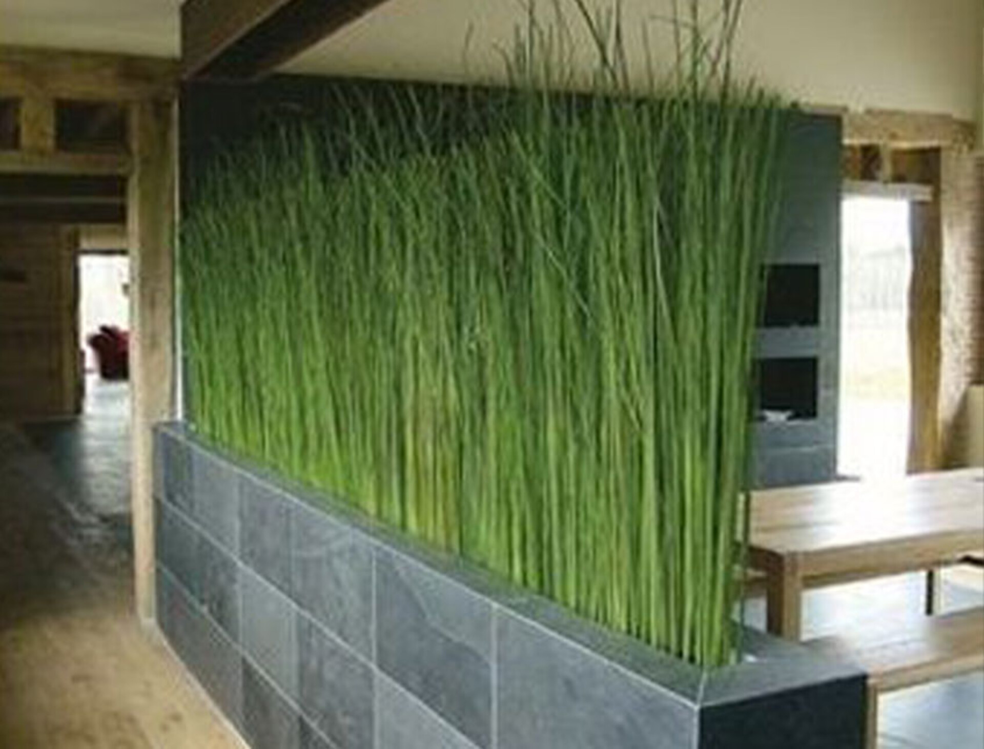 Grass Divisore  H 125 x 61 - Sconti per Fioristi e Aziende . - Artificiale