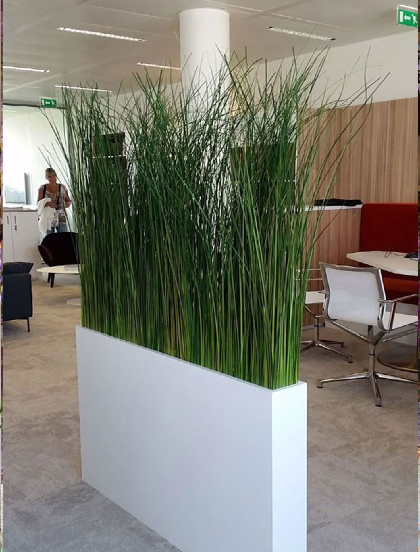 Grass Divisore H 150 x 92 - Sconti per Fioristi e Aziende . - Artificiale