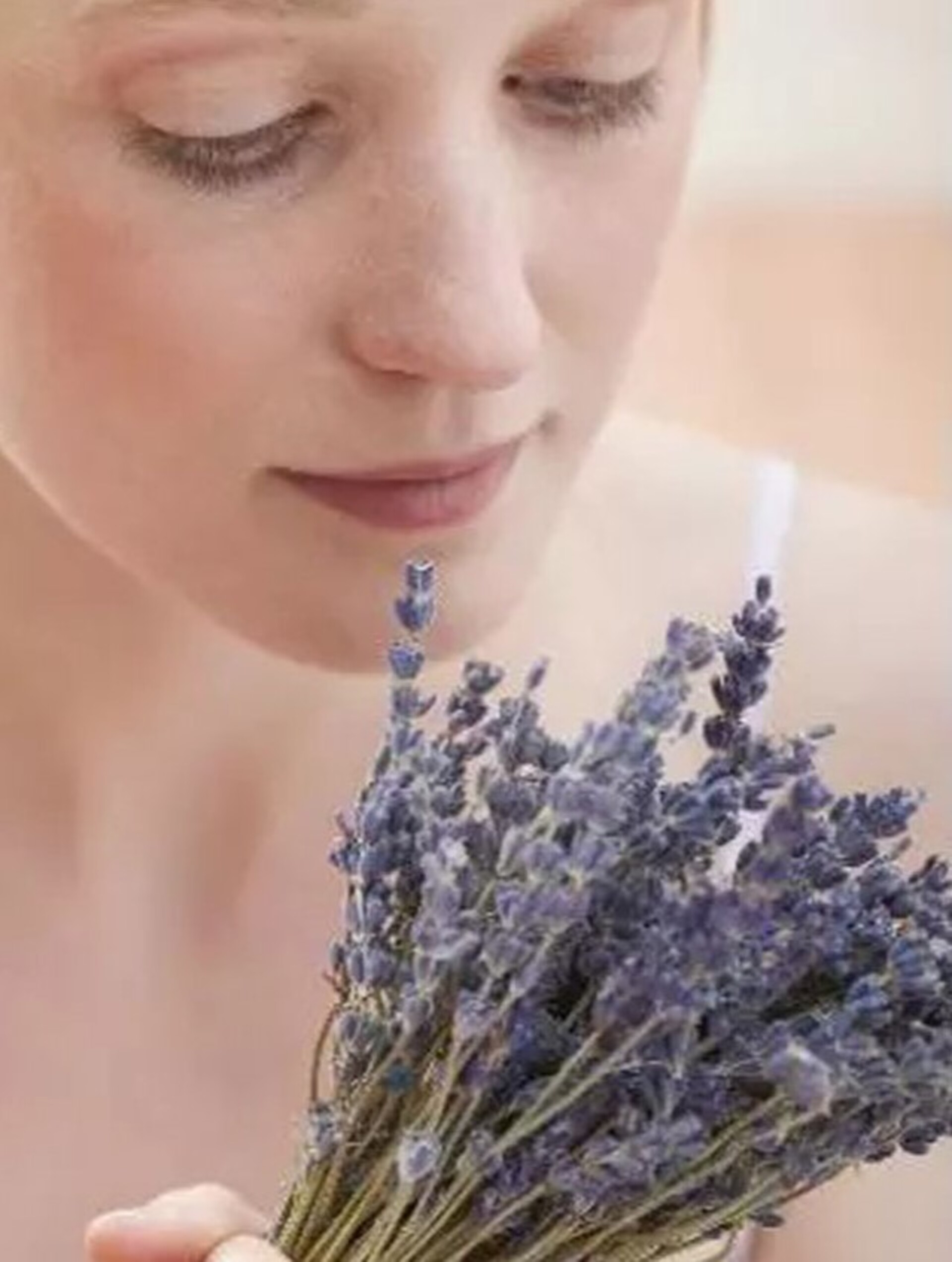 Lavanda naturale profumata Mazzo gr. 40- Sconti per Fioristi e Aziende . -  H 30