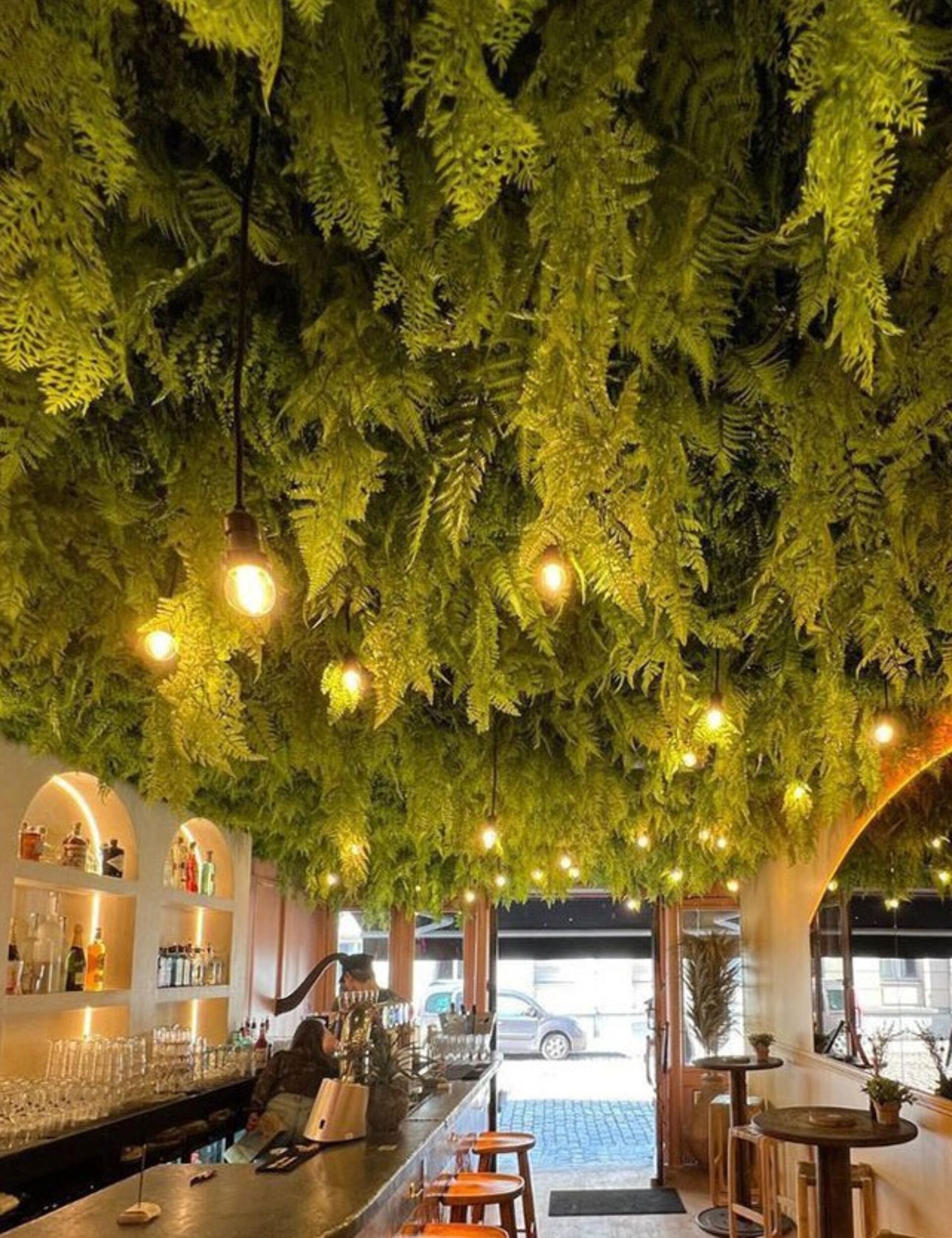 Soffitto con Vegetali Verdi Pendentii - Sconto per Fioristi e Aziende - Per esterno ed interno
