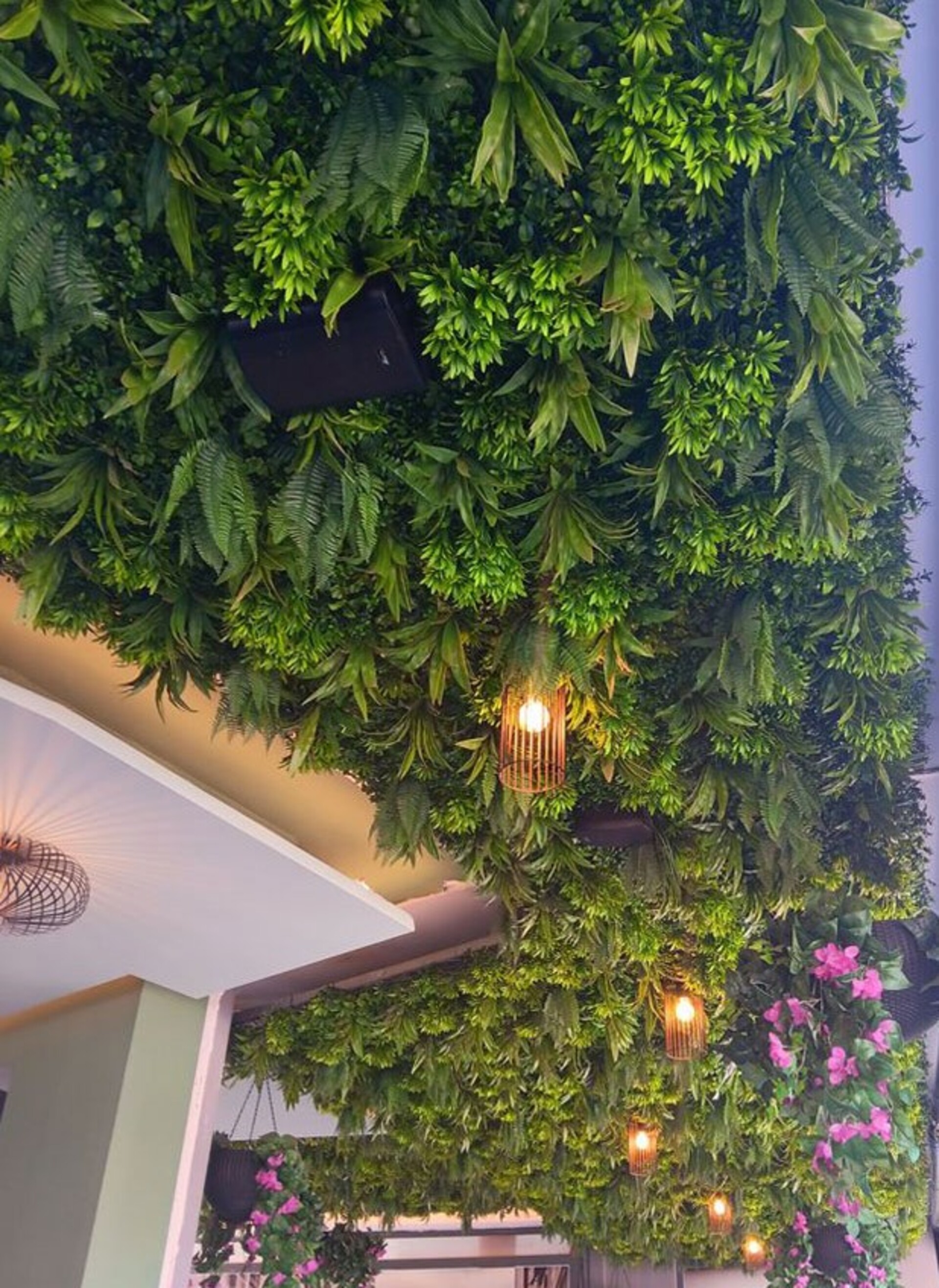 Soffitto con Vegetali Verdi Pendentii - Sconto per Fioristi e Aziende - Per esterno ed interno