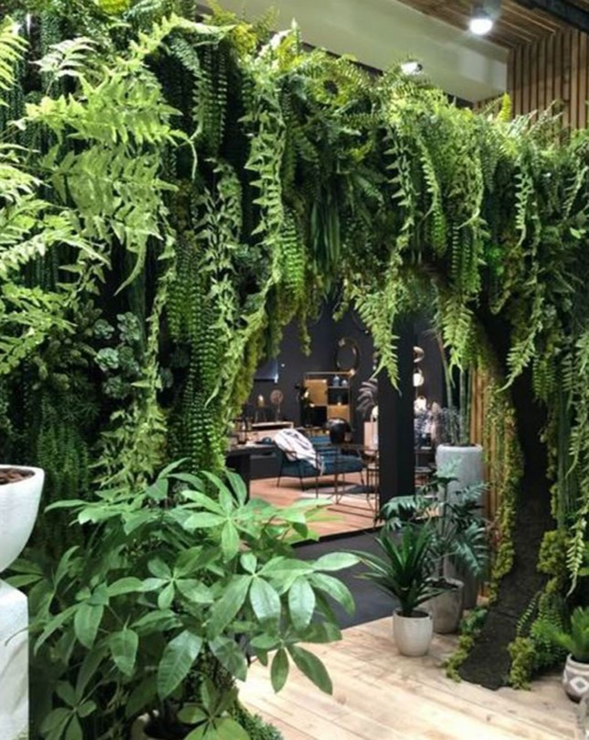 Soffitto con Vegetali Verdi Pendenti - Sconto per Fioristi e Aziende - Per esterno ed interno