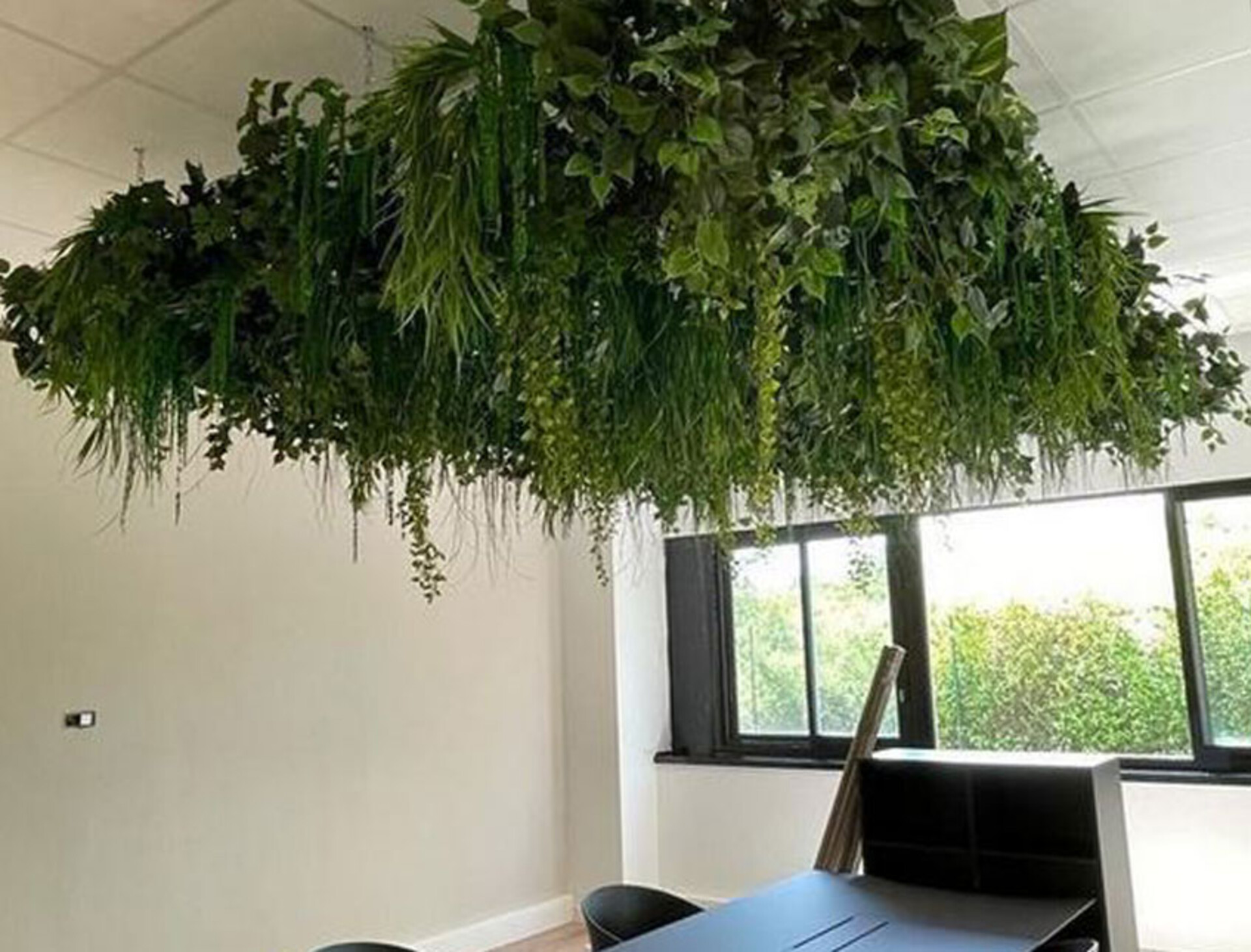 Soffitto con Vegetali Verdi Pendenti - Sconto per Fioristi e Aziende - Per esterno ed interno