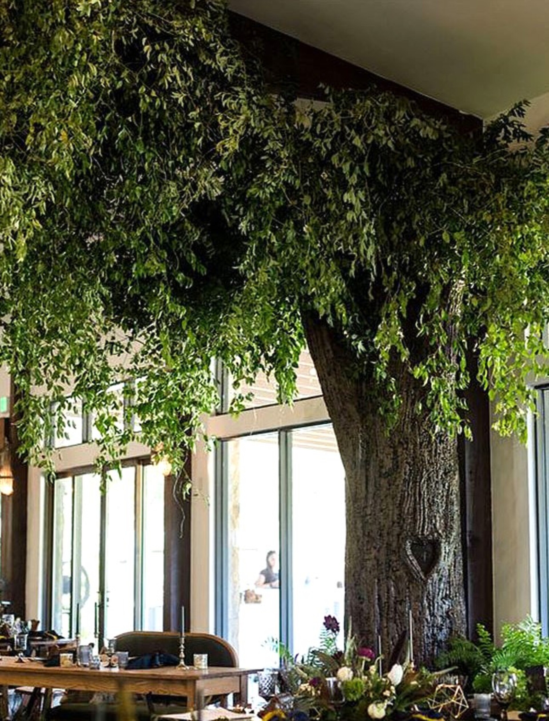 Soffitto con Vegetali Verdi Pendenti - Sconto per Fioristi e Aziende - Per esterno ed interno