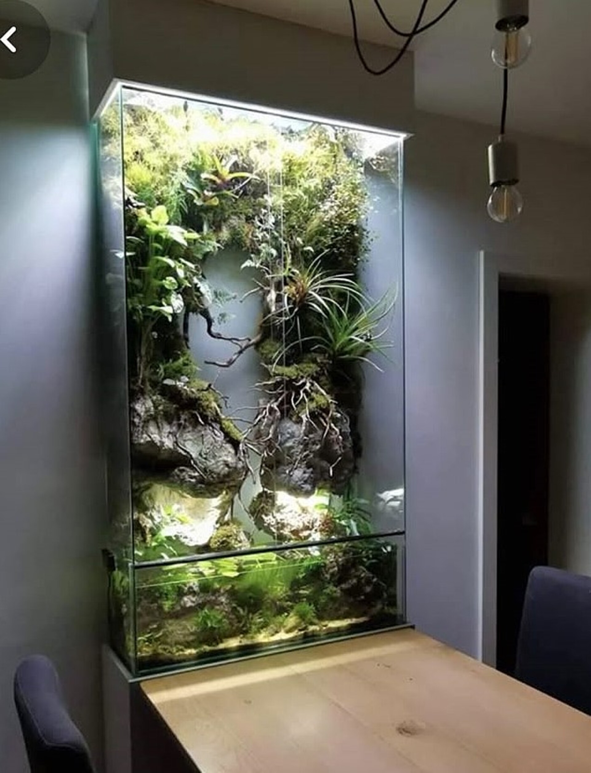 Giardino Verticale Preservato con Cascata - Sconto per Rivenditori e Aziende Fiorissima - Per interno