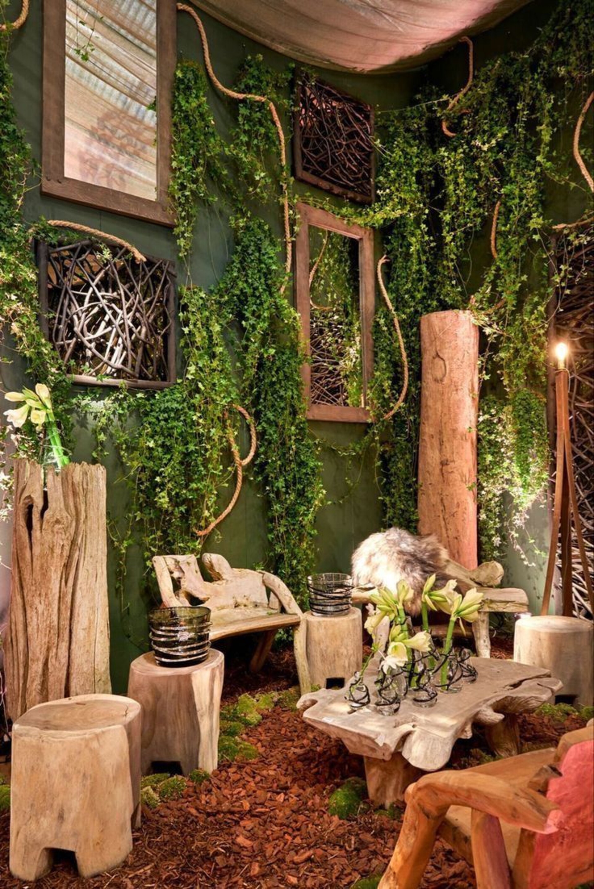 Giardini Vegetali Preservati - Adatti soltanto per interni . - Stile Medusa