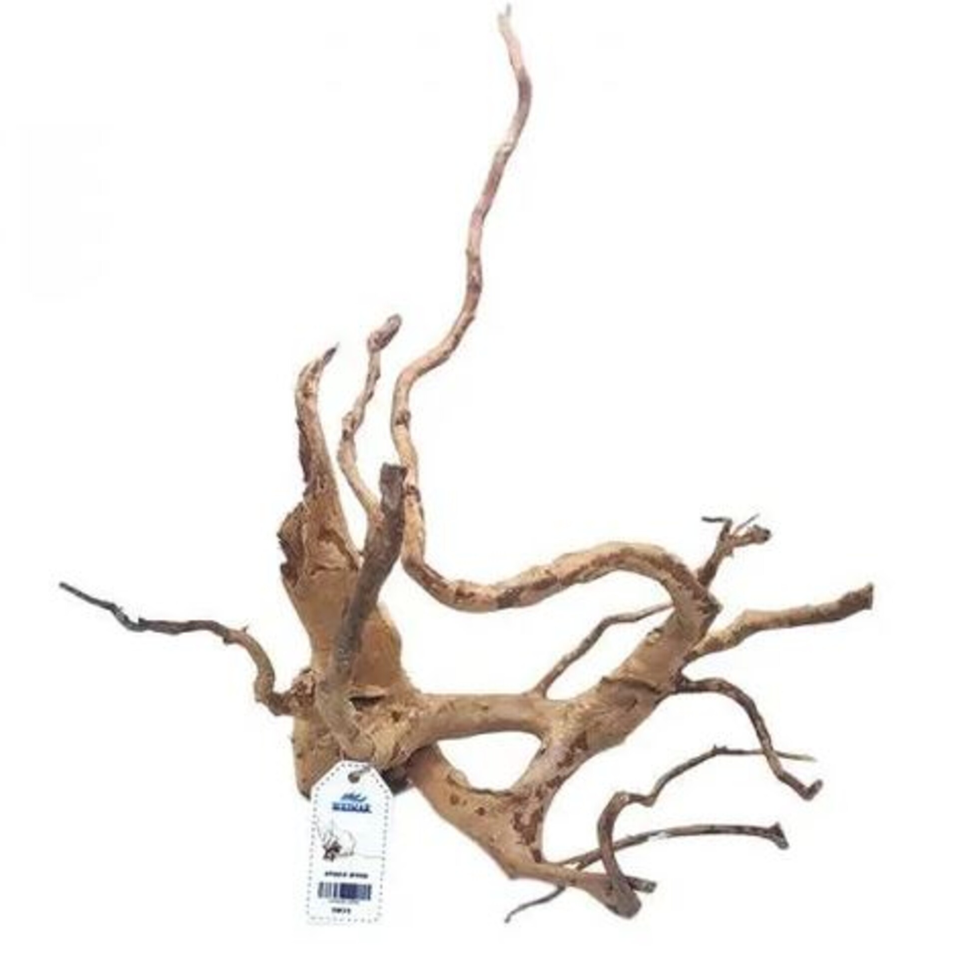 Radice Red Spider   - Prodotto Naturale trattato - Colore Rossiccio cm.80/100