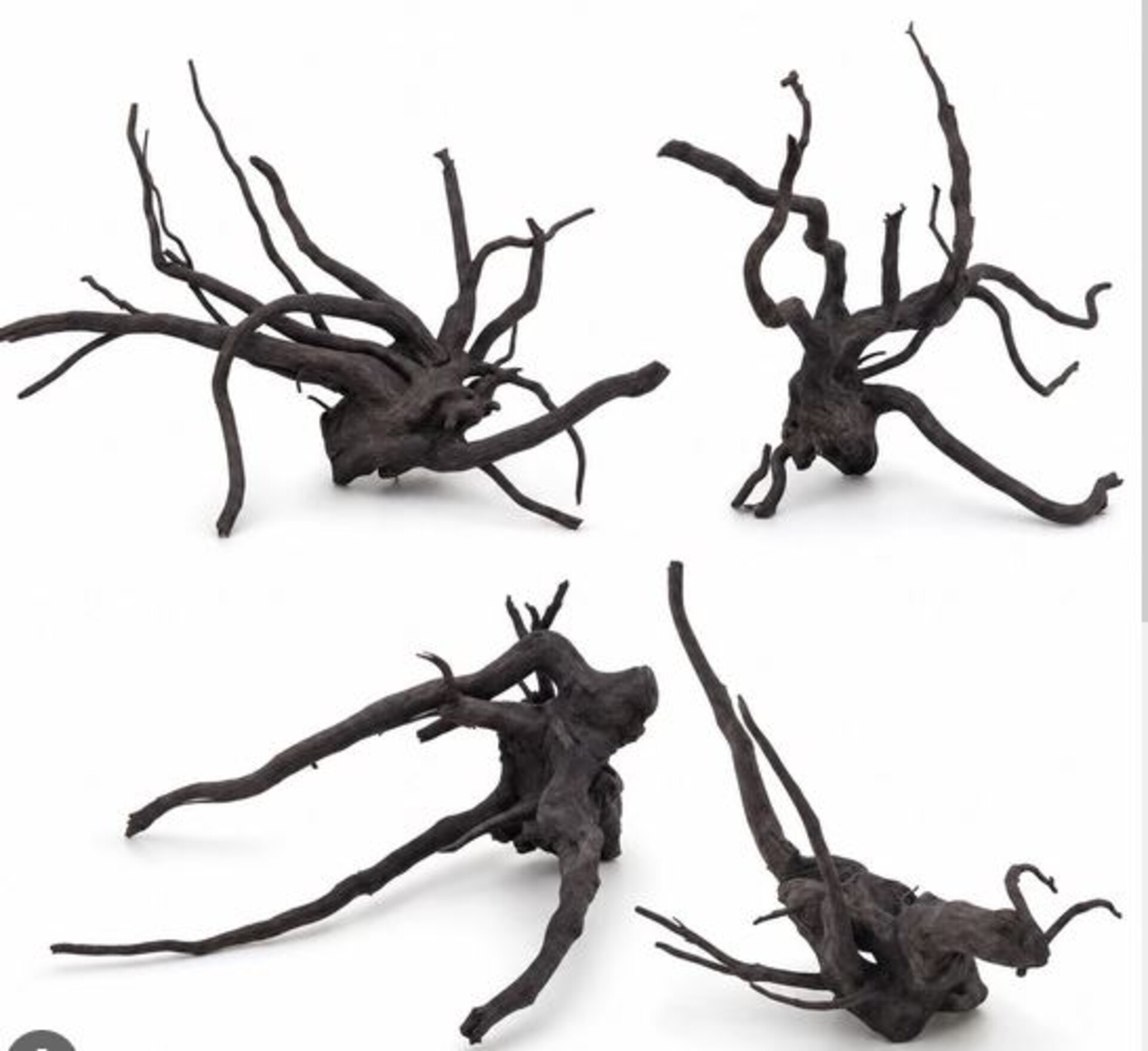 Radice Black Spider  - Prodotto Naturale trattato - Legno Scuro cm 55/70