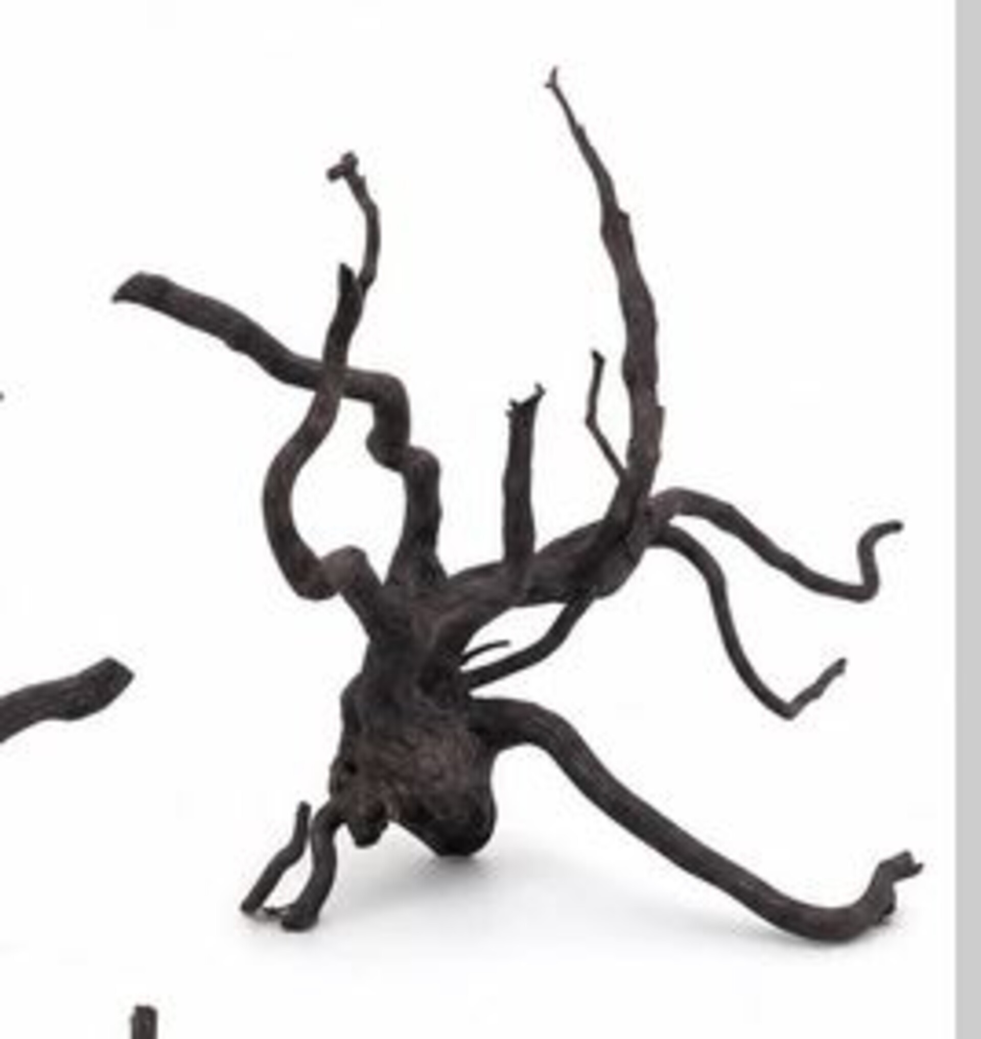 Radice Black Spider  - Prodotto Naturale trattato - Legno Scuro cm 55/70
