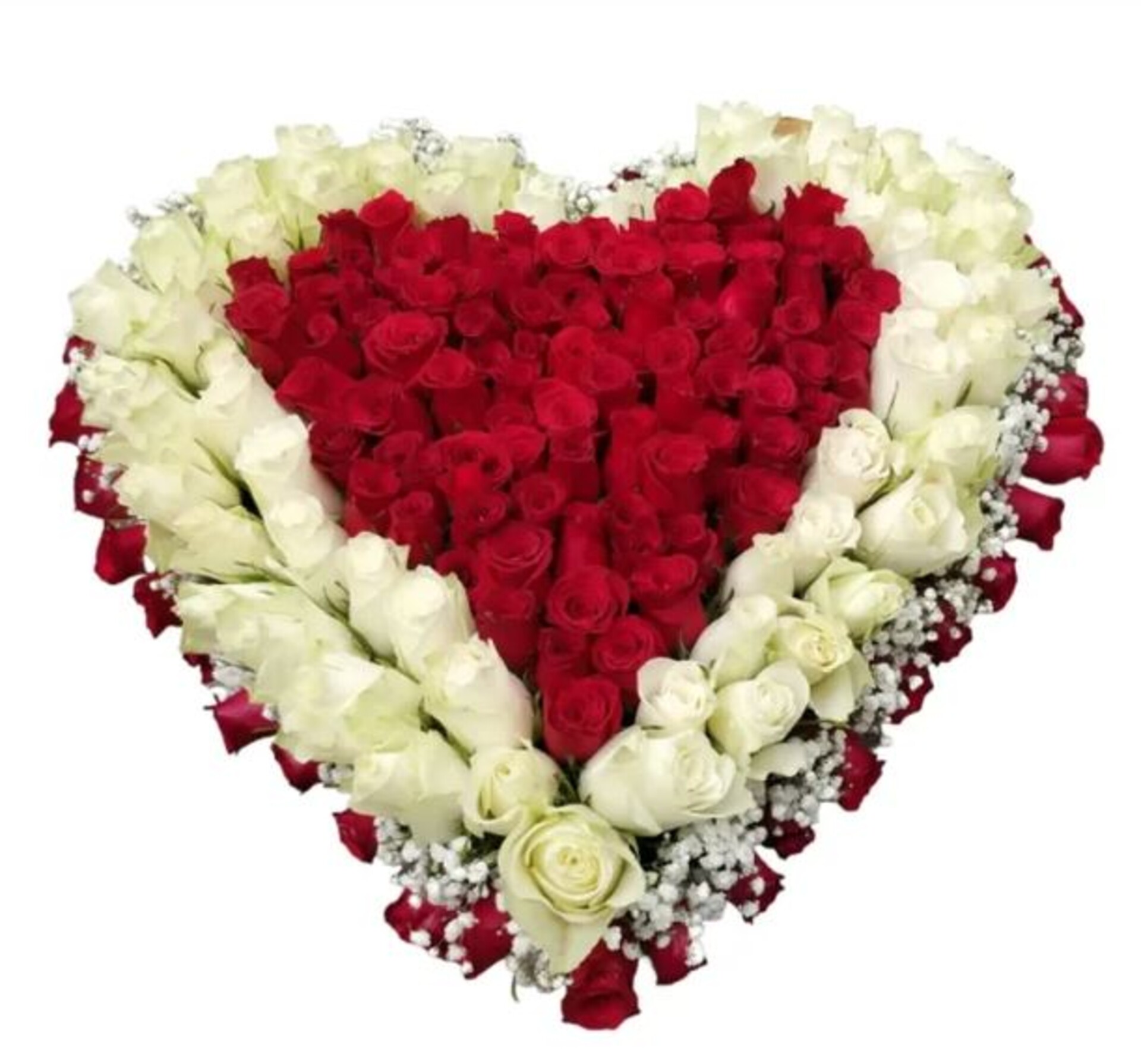 Cuore di spugna cm.30 x 2 Pz  -Articolo tecnico per Fioristi - Ydro con Base in plastica