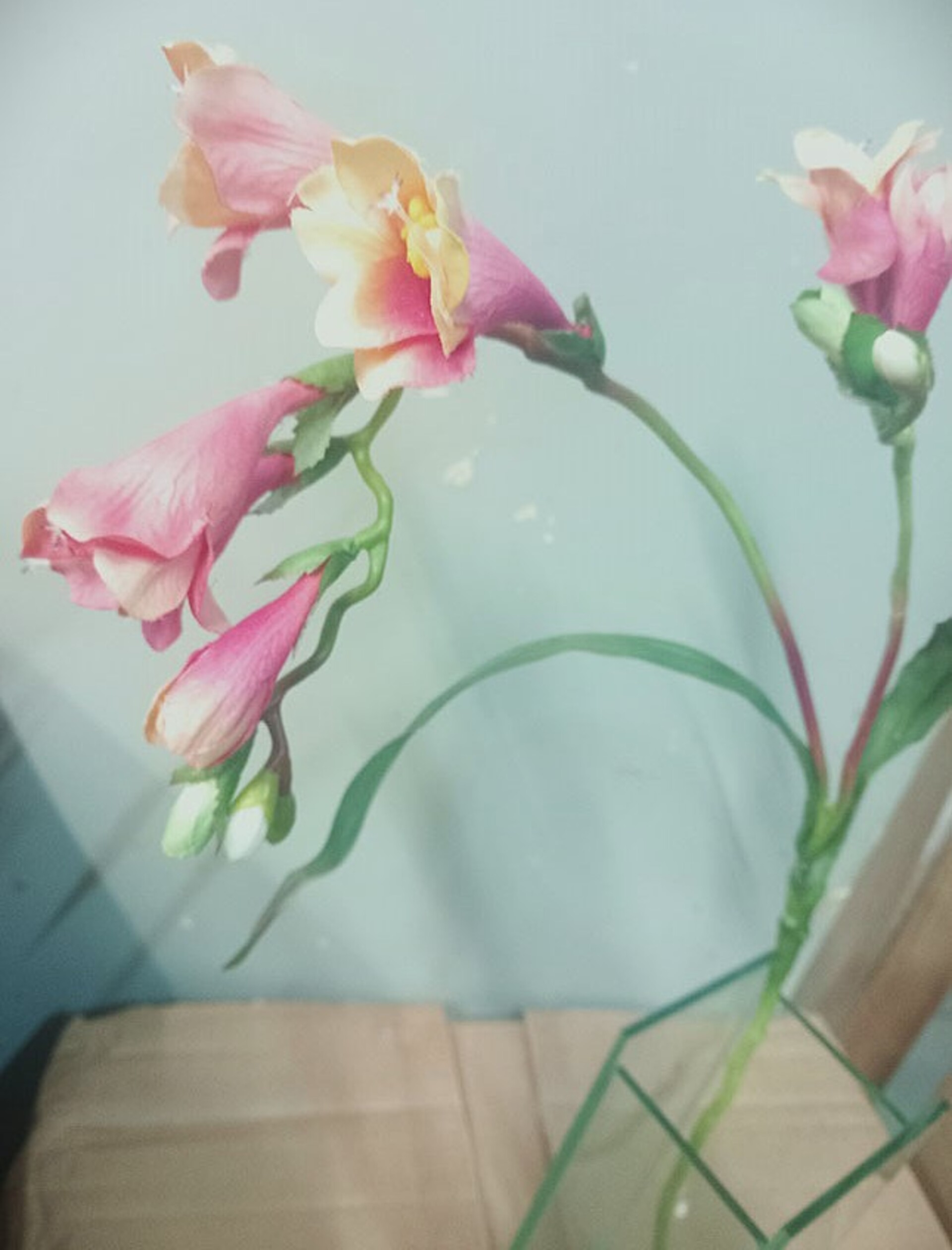 Fresia Artificiale x 2 Arredo - Sconti per Fioristi e Aziende . - in pongee silk