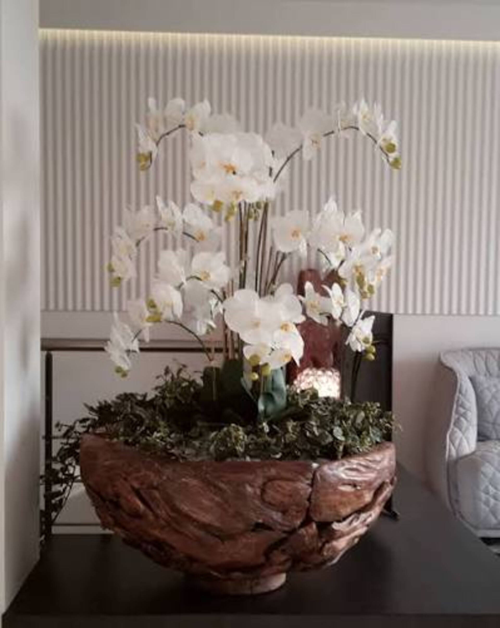 Phalenopsis Cadente x 3 H 113 - Sconti per Fioristi e Aziende . - In poliester