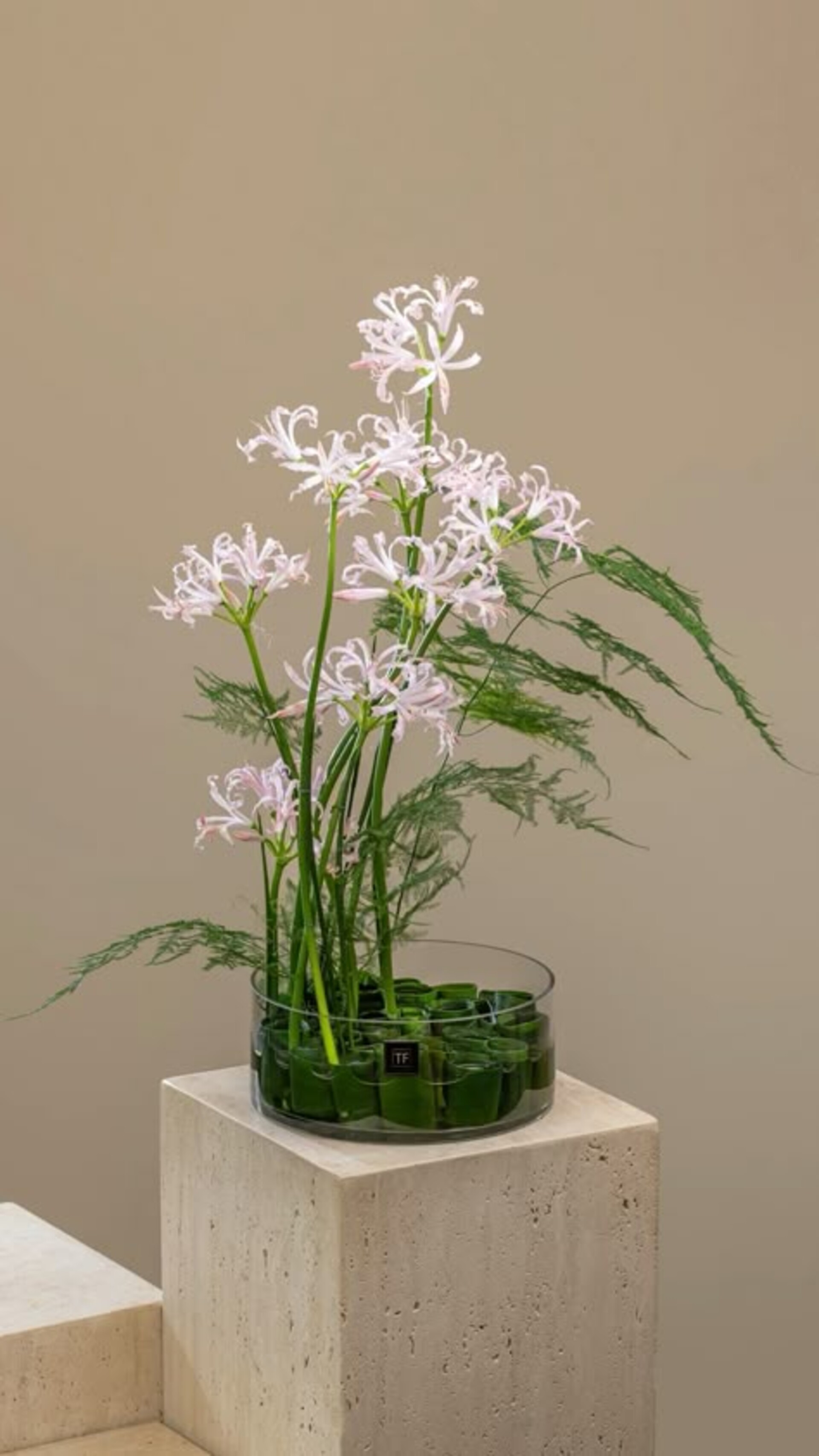 Phalenopsis H 44  cm.  - Sconti per Fioristi e Aziende . - in poliestere