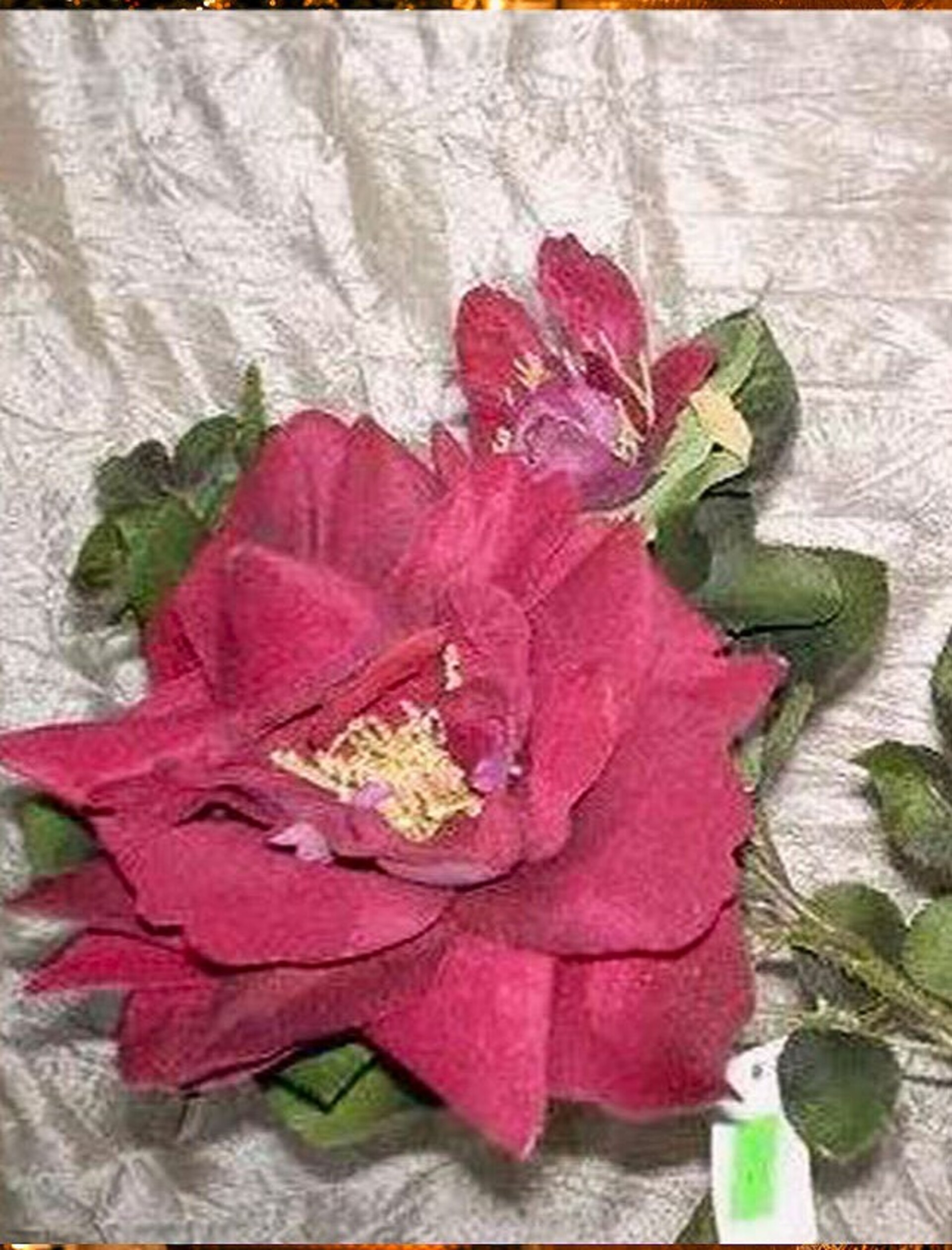 Magnolia & Rose x 2 velluto  - Sconti per Fioristi e Aziende -Bordeaux con bocciolo