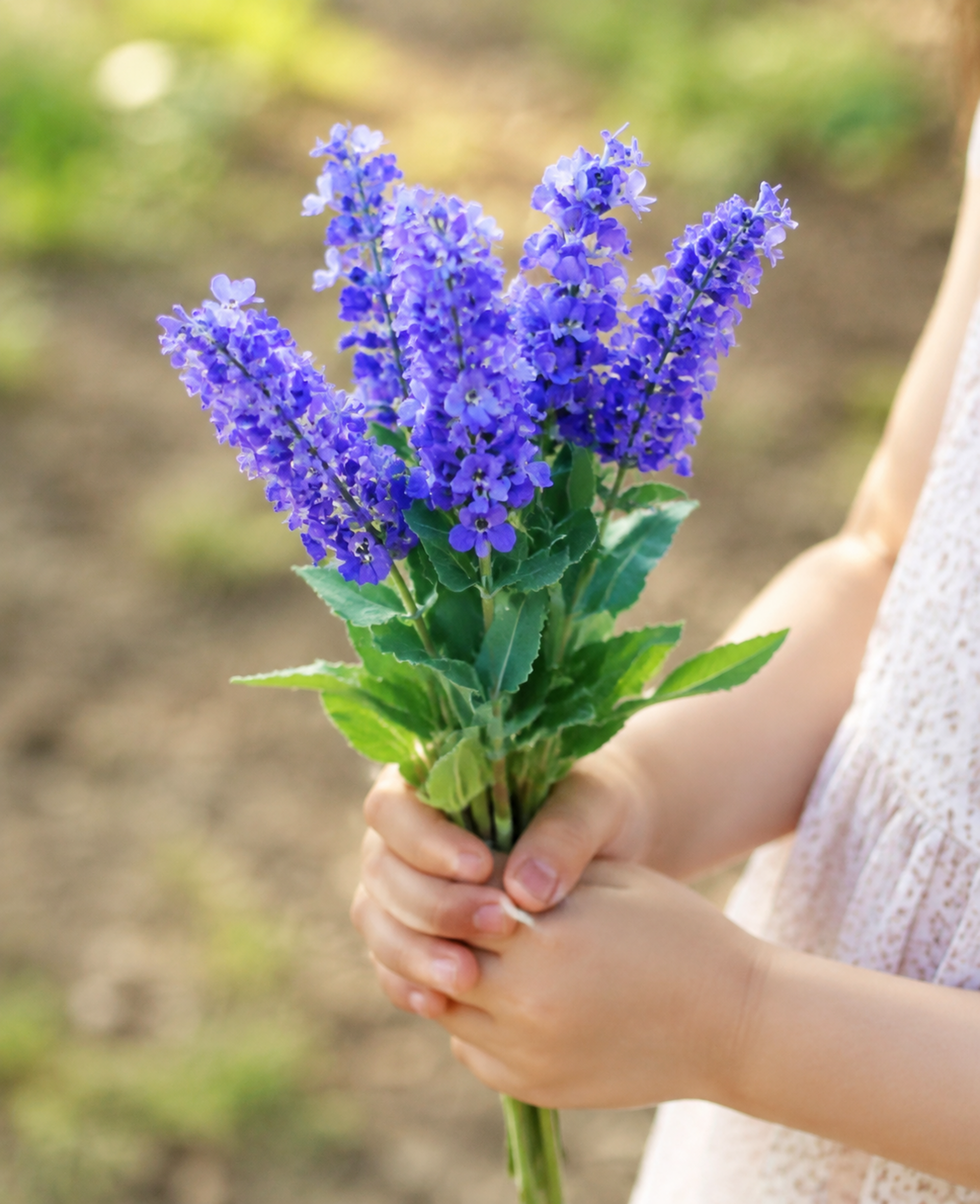 Lavanda Bush x 7 in poliester - Sconti per Fioristi e Aziende - Artificiale