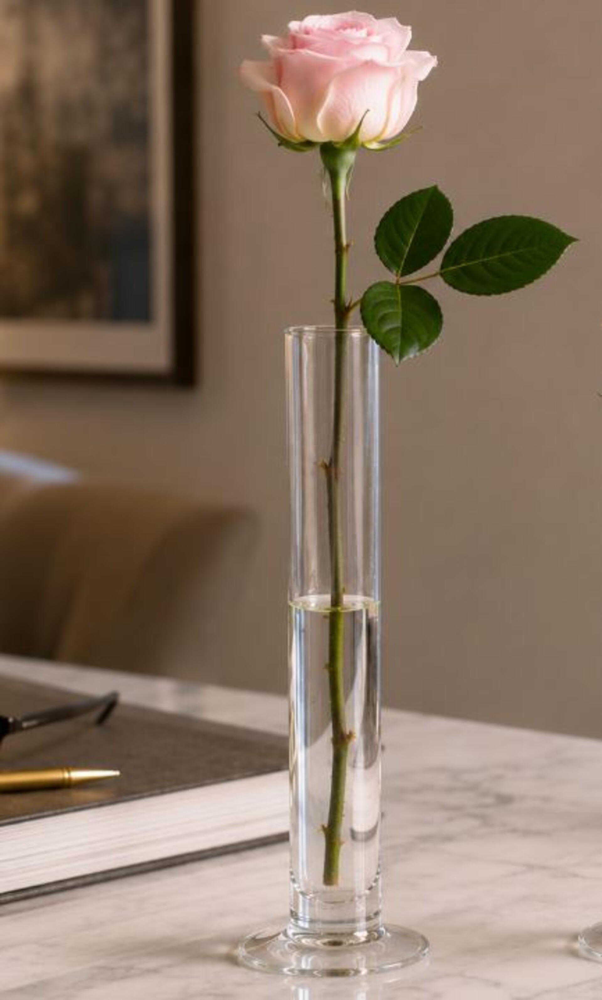 Vaso Monofiore H 30 dm. 5 - Sconti per Fioristi e Aziende - Vetro Trasparente Cilindrico