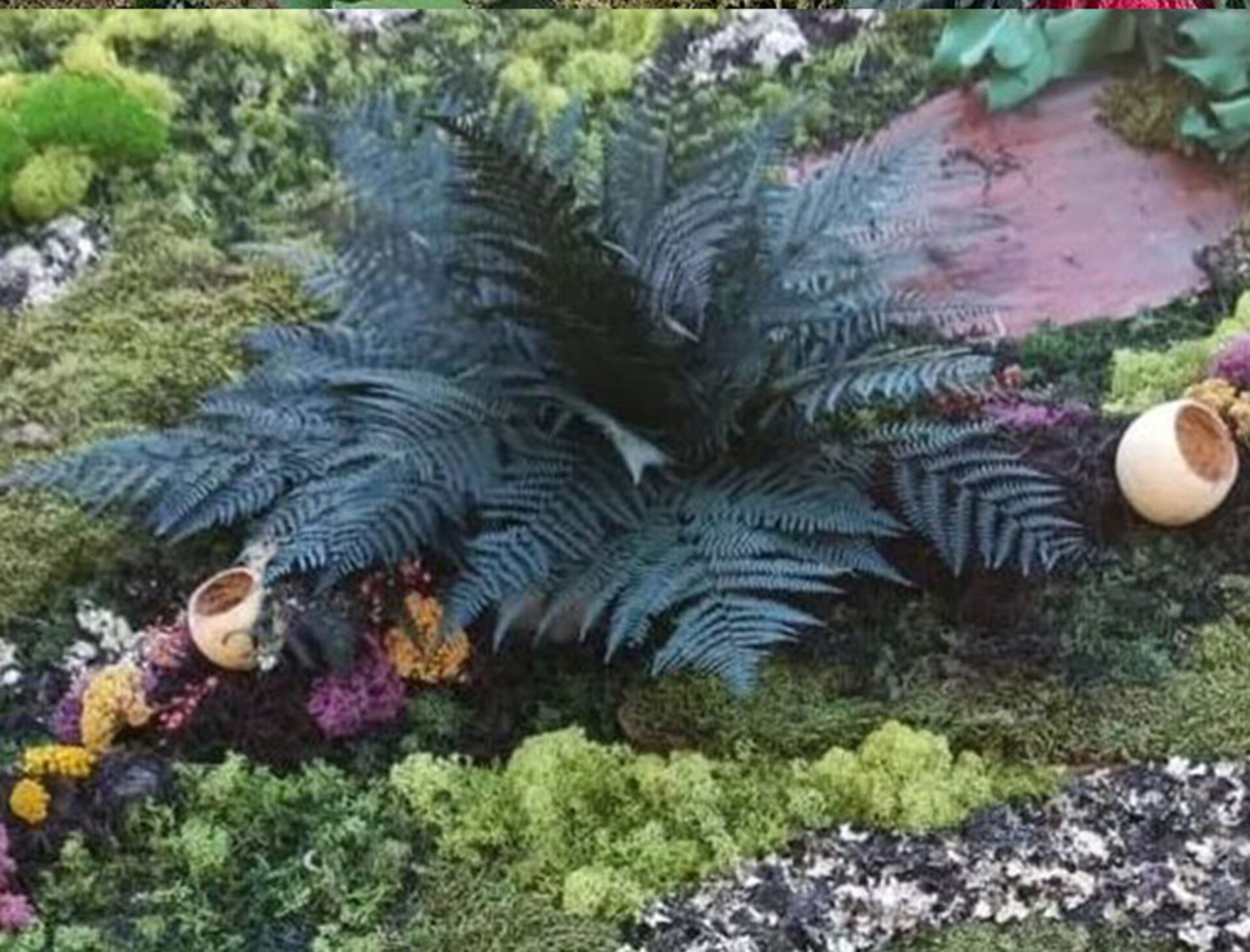 Felce di Bosco H 75 Preservata - Sconti per Fioristi e Aziende Mazzo da 10 foglie