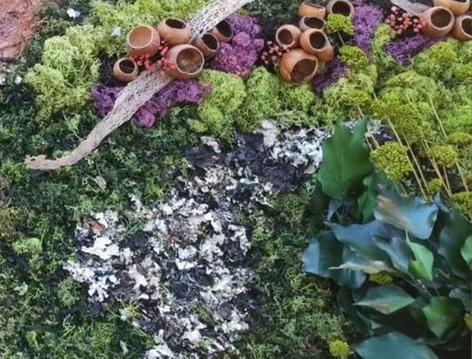 Muschio di Roccia gr. 250 ( Black Moss ) Naturale preservato - Sconti per Fioristi e Aziende