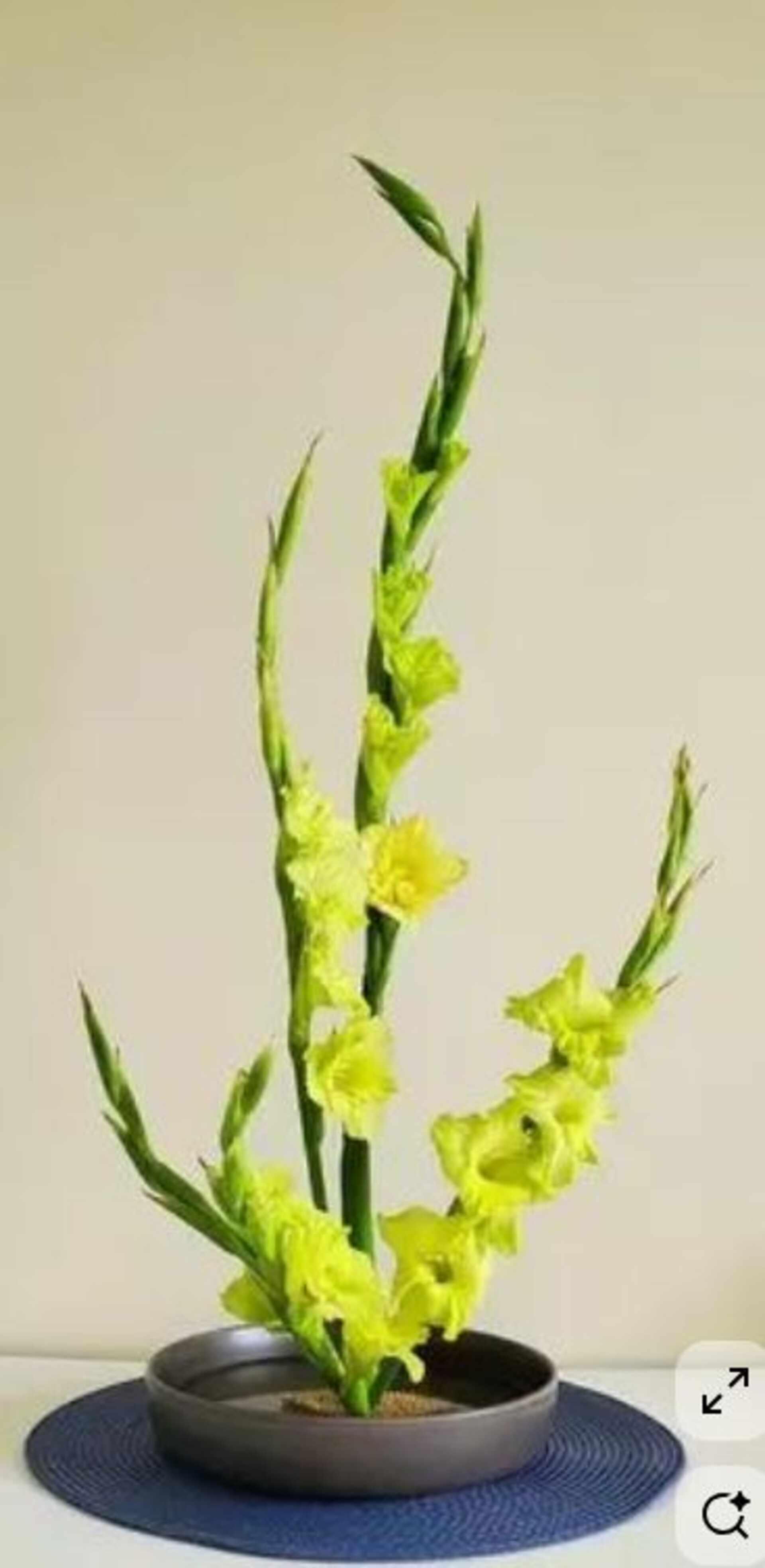 Gladiolo Artificiale H 108 x 10 fiori - Sconti per Fioristi e Aziende . -In poliestere