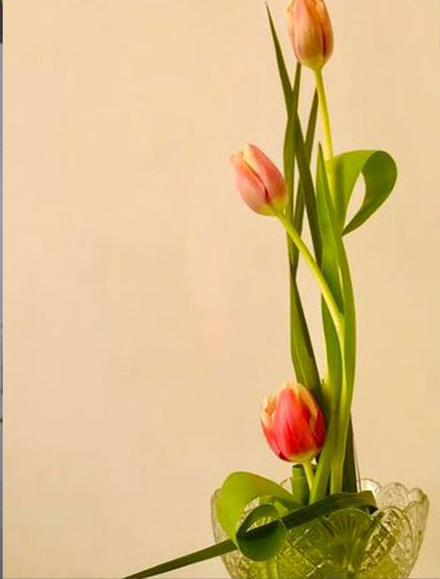 Tulipano Olandese H 47  Artificiale in poliestere - Sconti per Fioristi e Aziende .