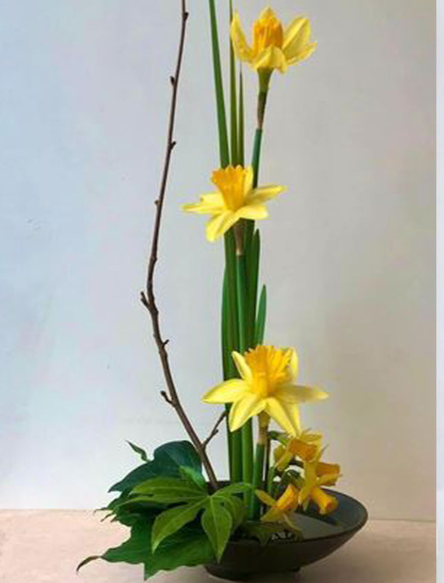 Narciso Lusso H 50  - Sconti per Fioristi e Aziende . - in gomma