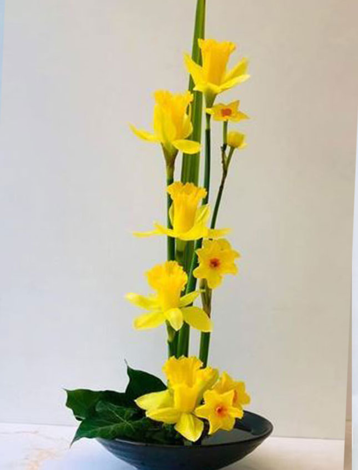 Narciso Lusso H 50  - Sconti per Fioristi e Aziende . - in gomma