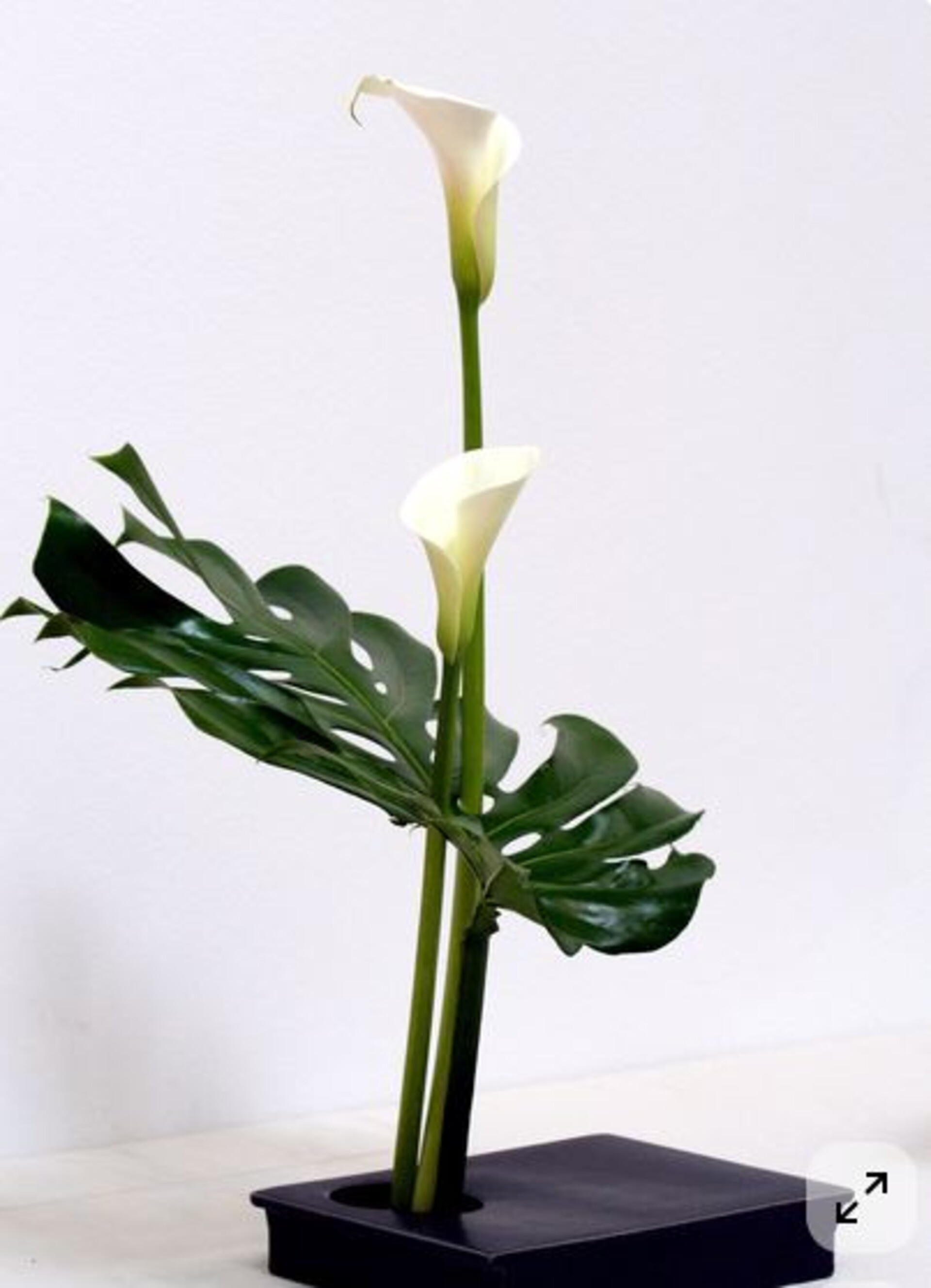 Foglia di Monstera Artificiale H 72 Laminata Argento - Sconti per Fioristi e Aziende