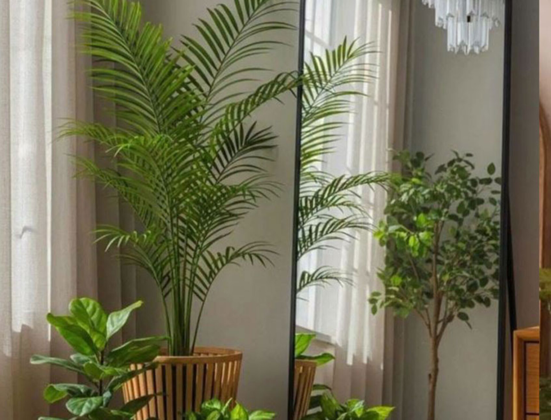 Kenzia palm H 160 in vaso - Sconti per Fioristi e Aziende . - Artificiale