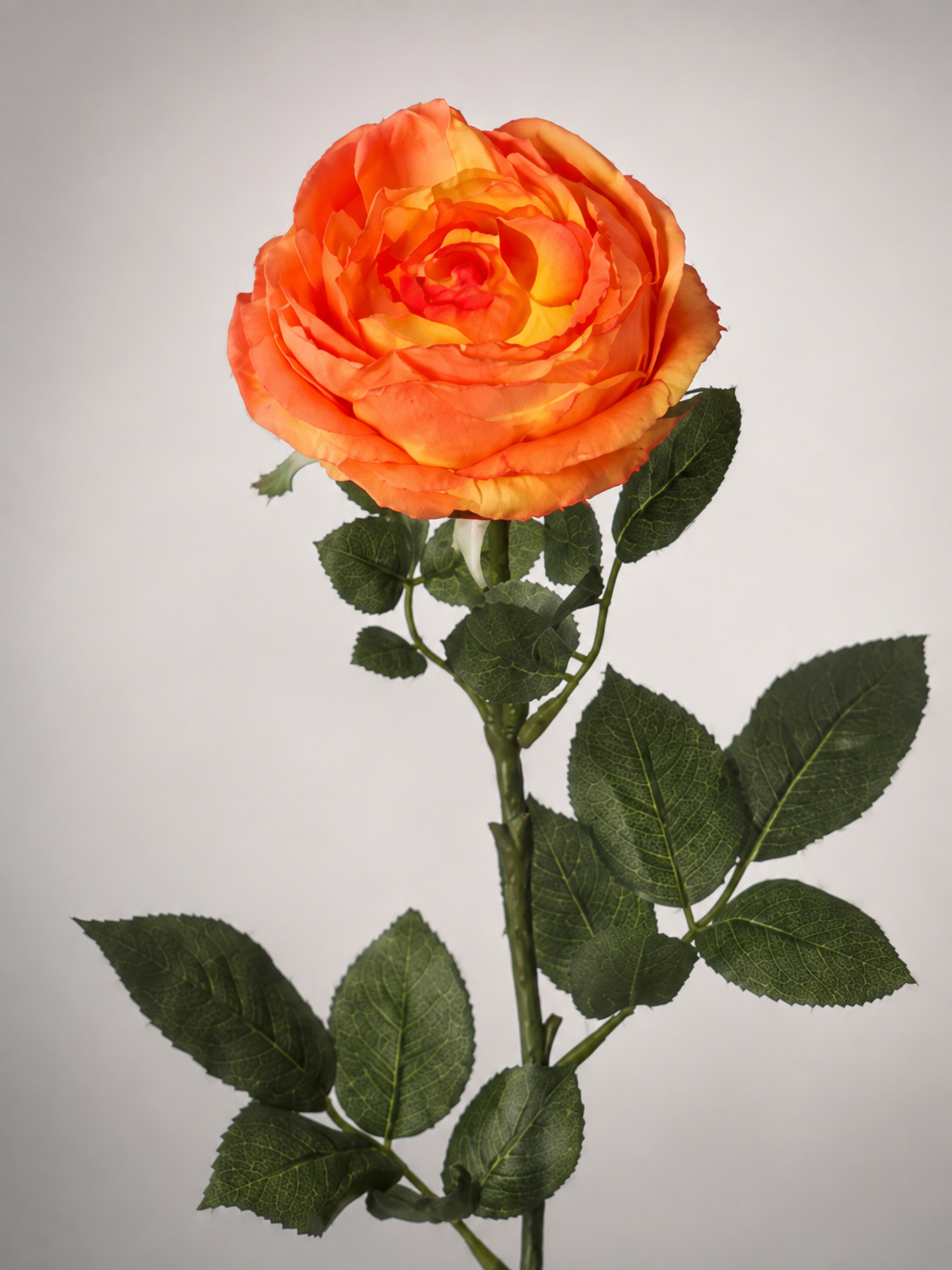 Rosa Cabbage in poliestere - Sconti per Fioristi e Aziende . - Artificiale