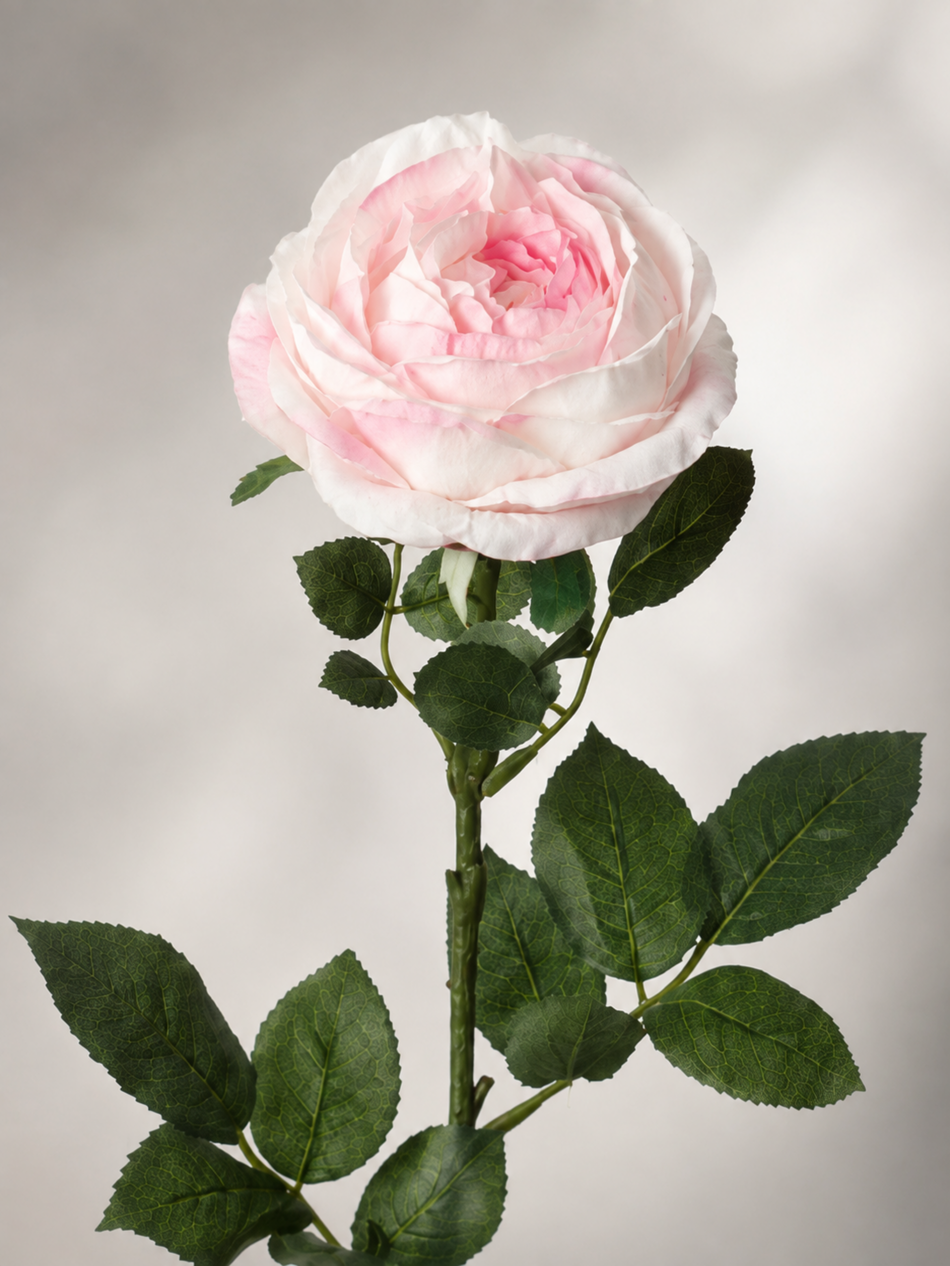 Rosa Cabbage in poliestere - Sconti per Fioristi e Aziende . - Artificiale