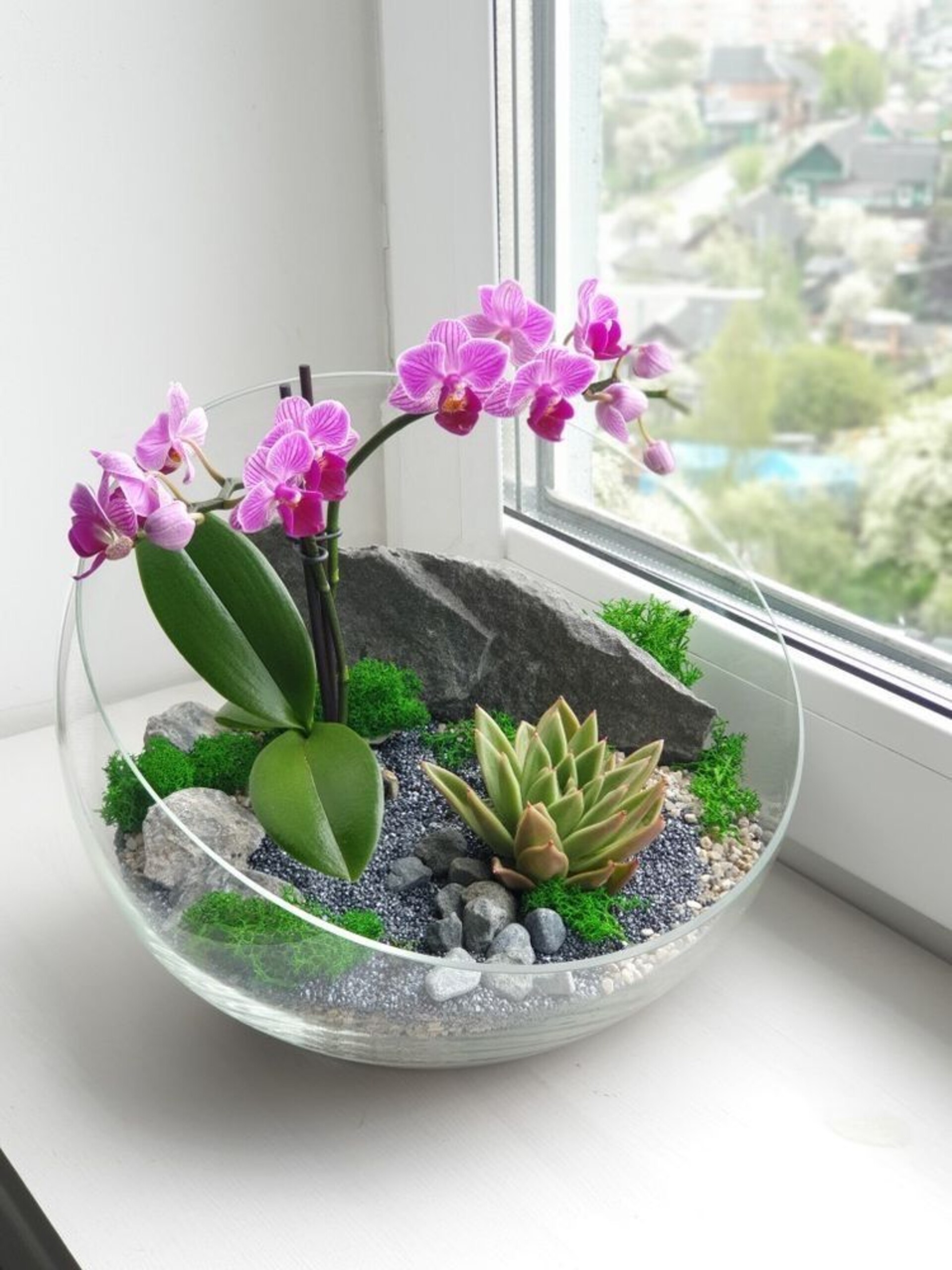 Foglia di Orchidea con radici  - Sconti per Fioristi e Aziende . - cm. 20 con 5 foglie